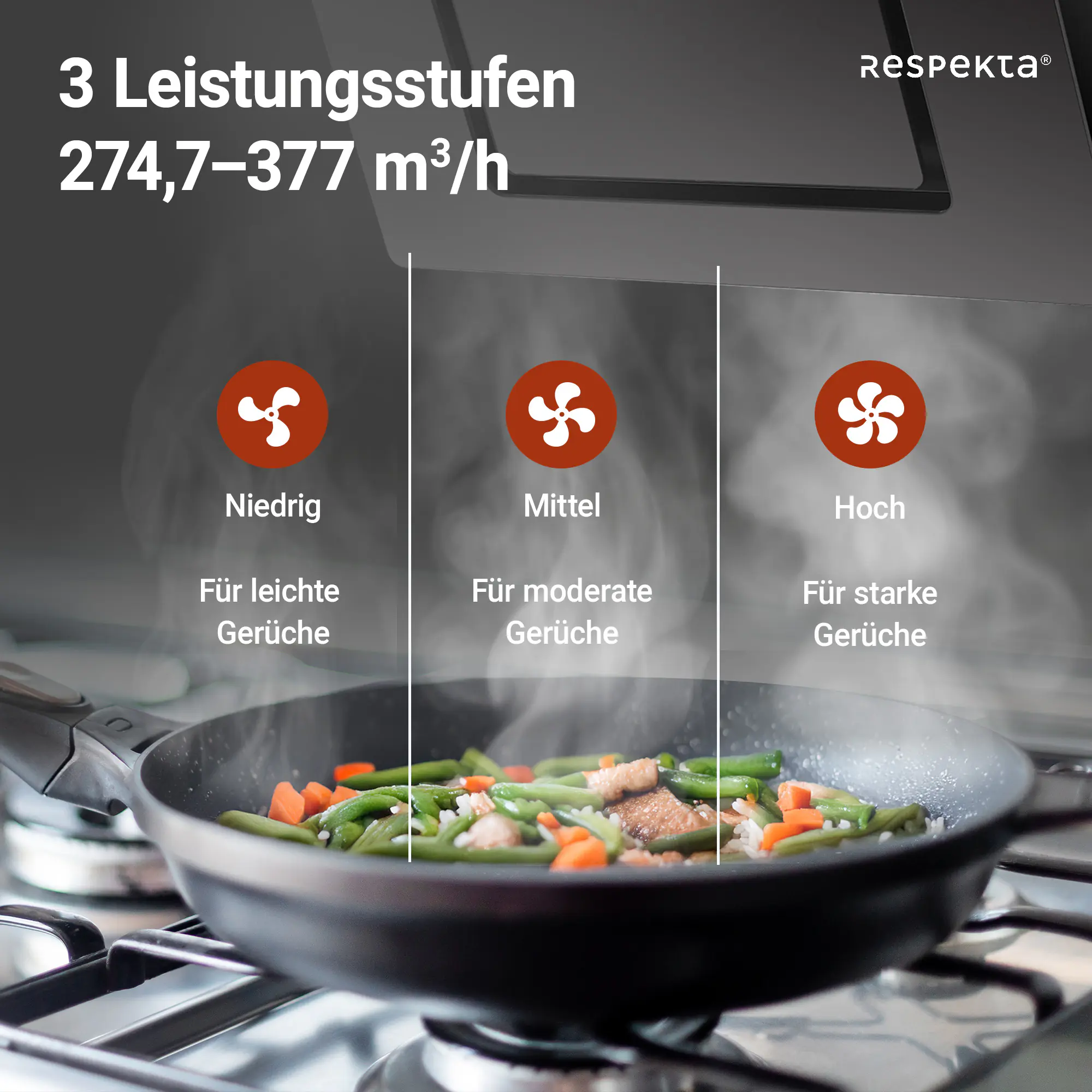 respekta Schräghaube CH22010SBZ 60 cm