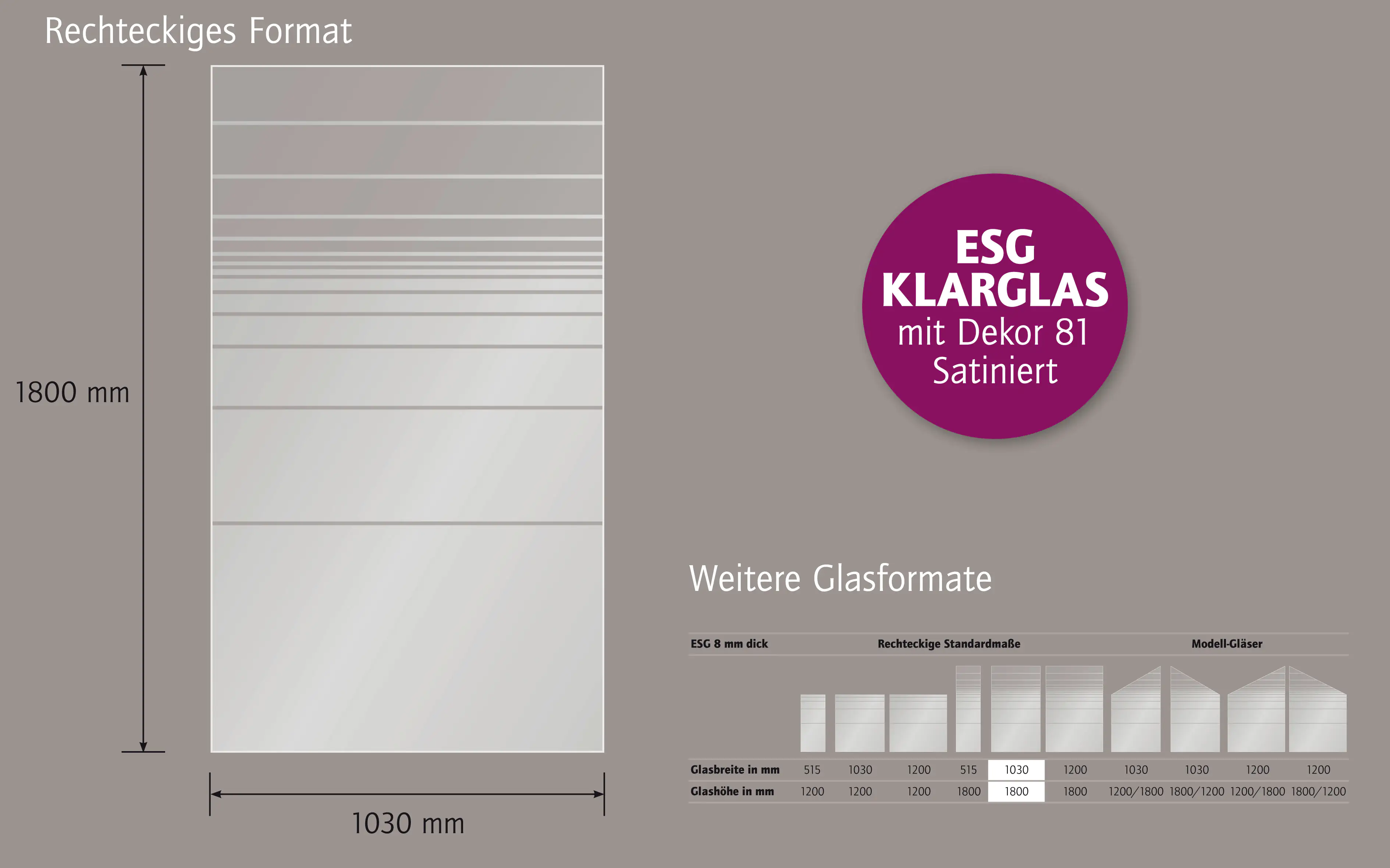 Ambiente Glaszaun Dekor 81 103 x 180 cm gehärtetes 8 mm Glas