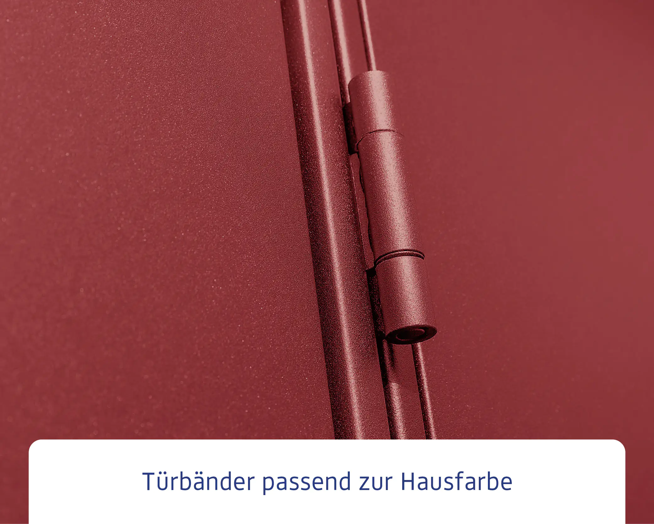 EcoStar Gerätehaus Elegant-S Typ 3 323,6 x 247,7 x 219,4 cm purpurrot