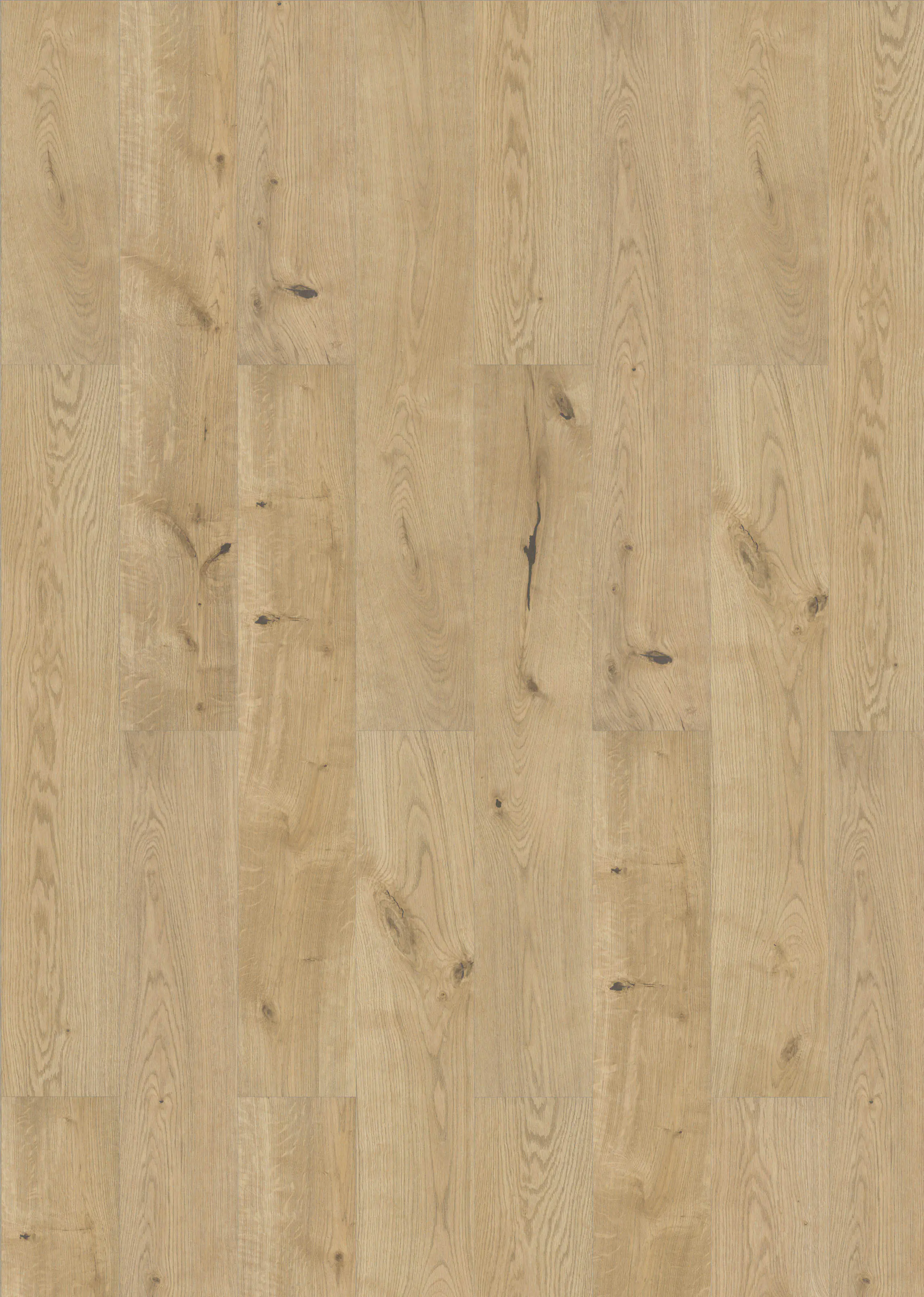 Classen Laminat 4V Eiche natur gelb