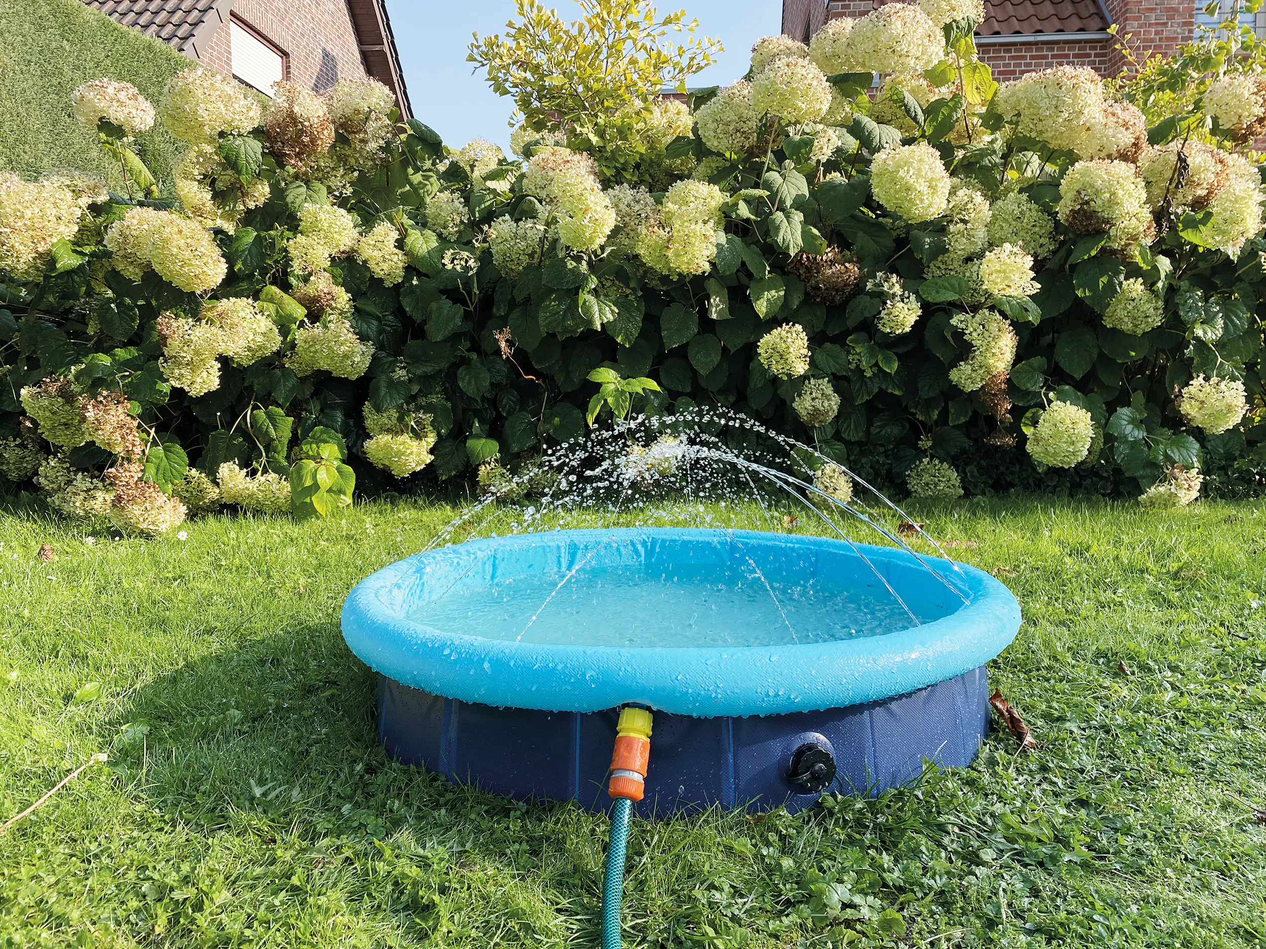 Nobby Hundepool Splash Pool 2 in 1