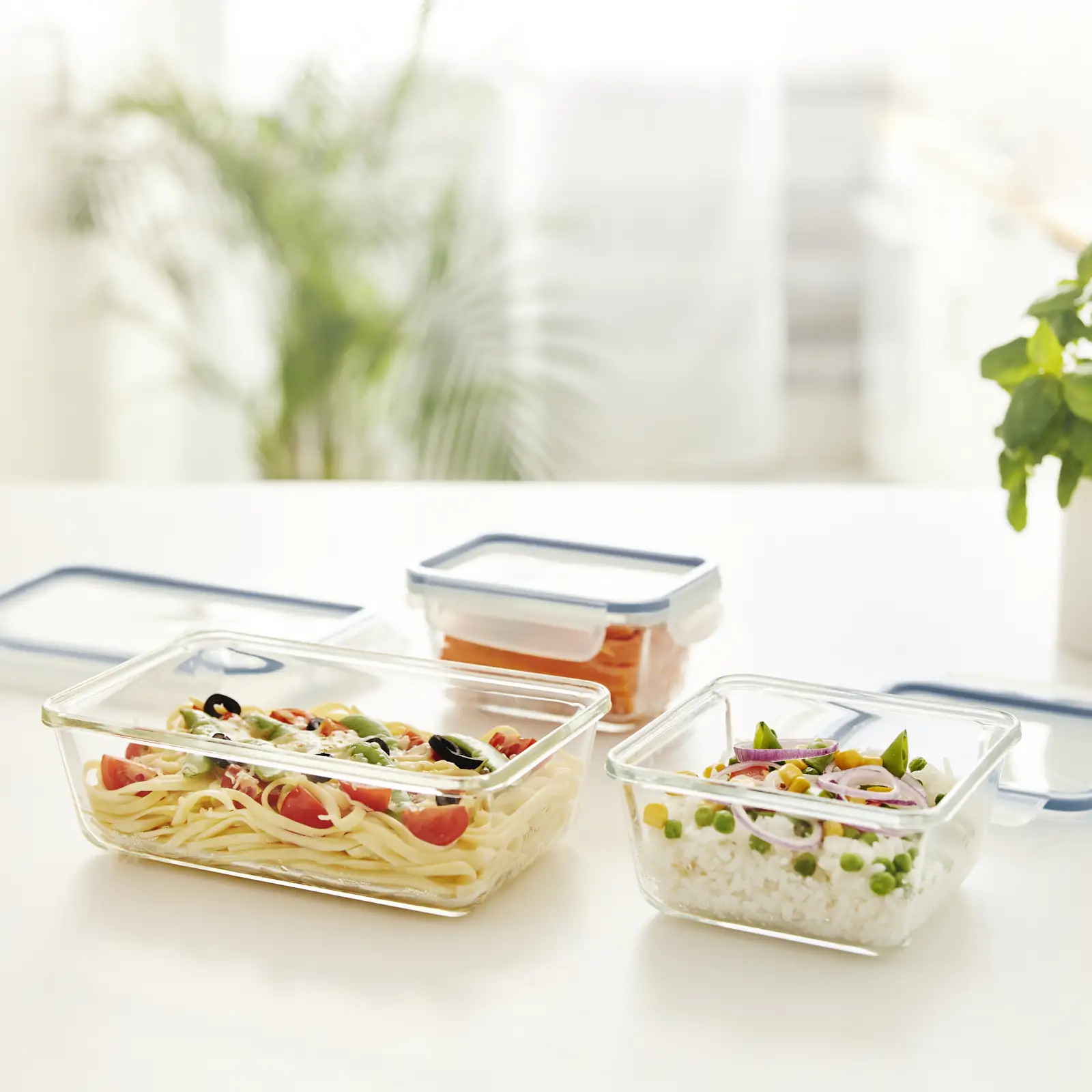 Rotho Kühlschrankdose Glas CLIC & LOCK 1,3 L, 3er Set