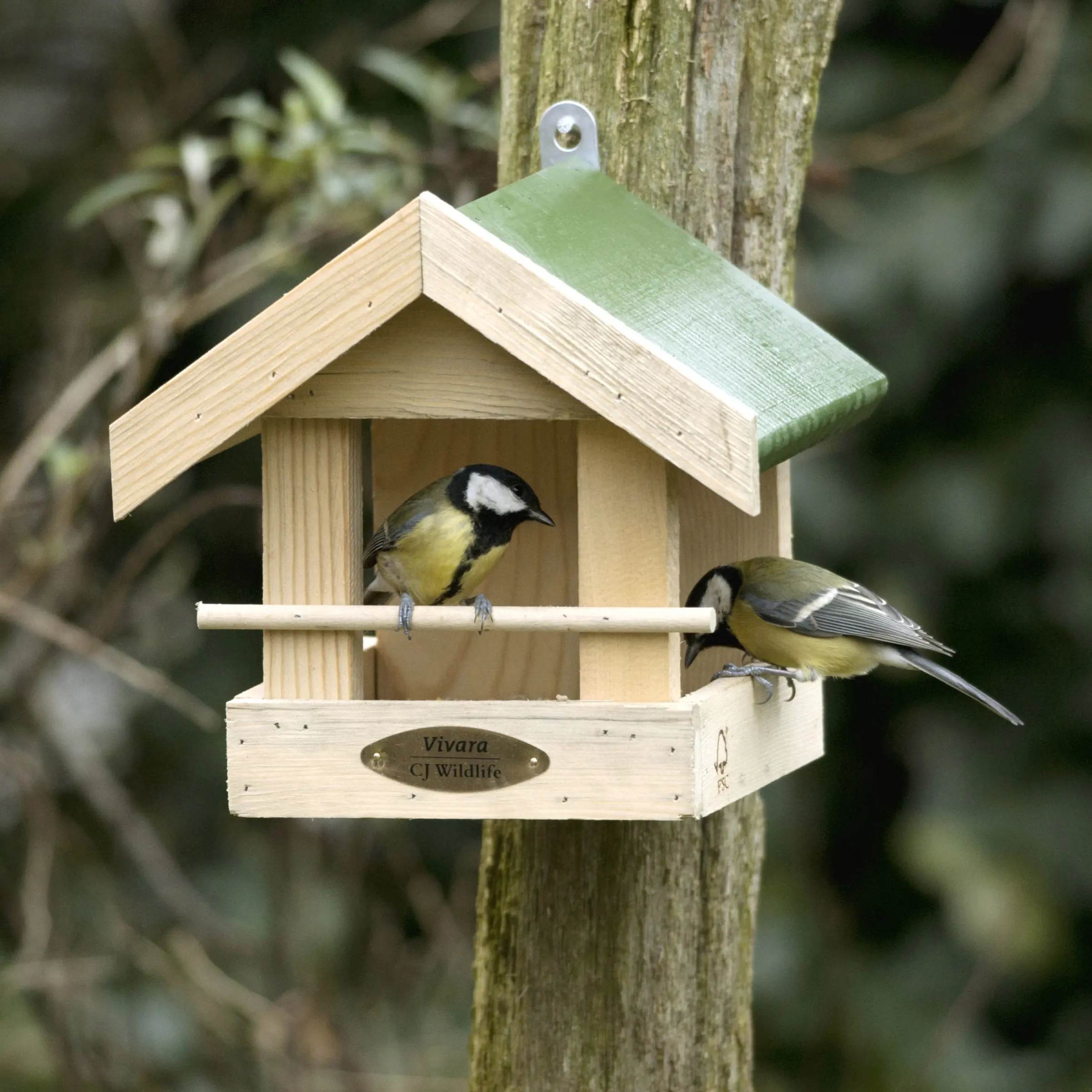 CJ Wildlife Futterhaus Memphis natur/grün 23,5 x 21,2 cm