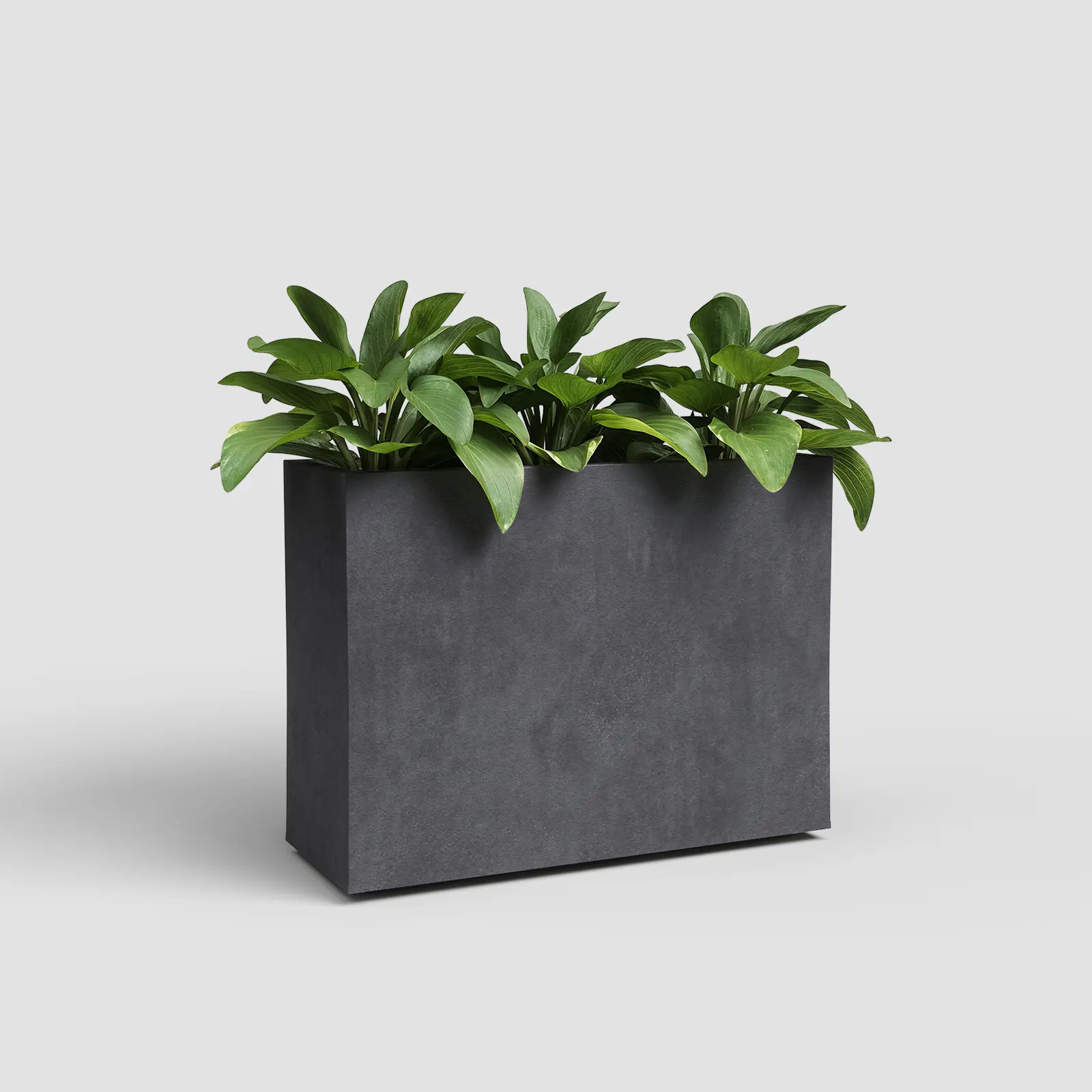 Artevasi Blumenkasten Sydney Kunststoff 80 x 68 cm anthrazit