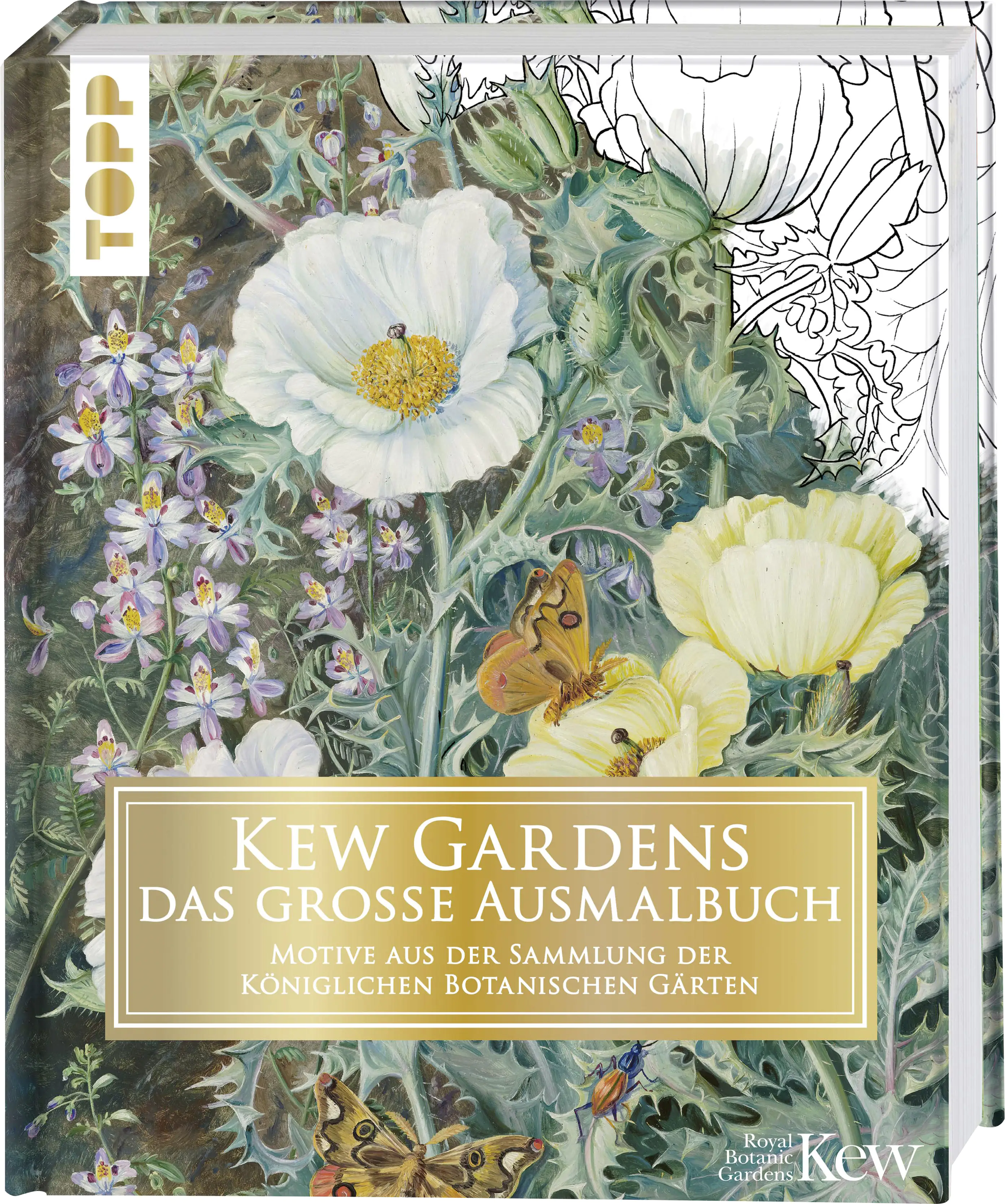 Kew Gardens - das große Ausmalbuch