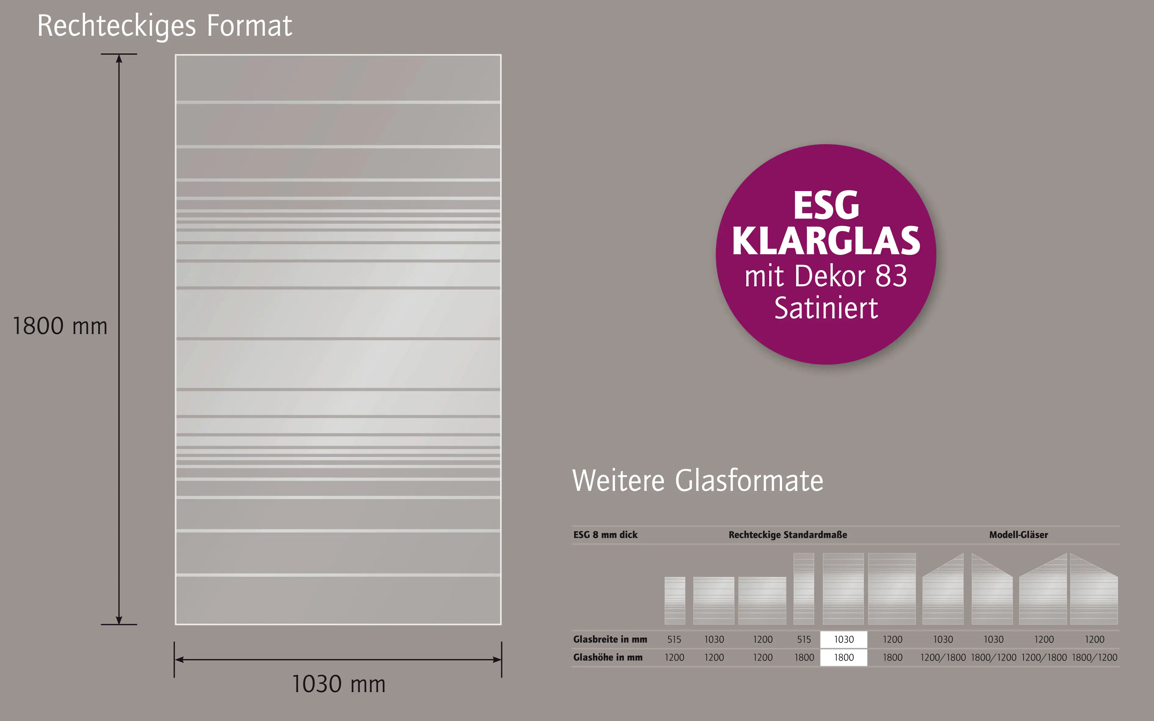 Ambiente Glaszaun Dekor 83 103 x 180 cm gehärtetes 8 mm Glas