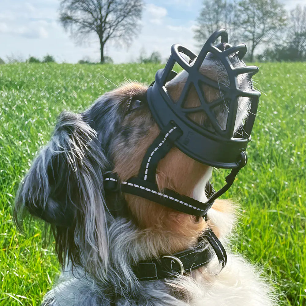 Nobby Hundemaulkorb Comfort L schwarz