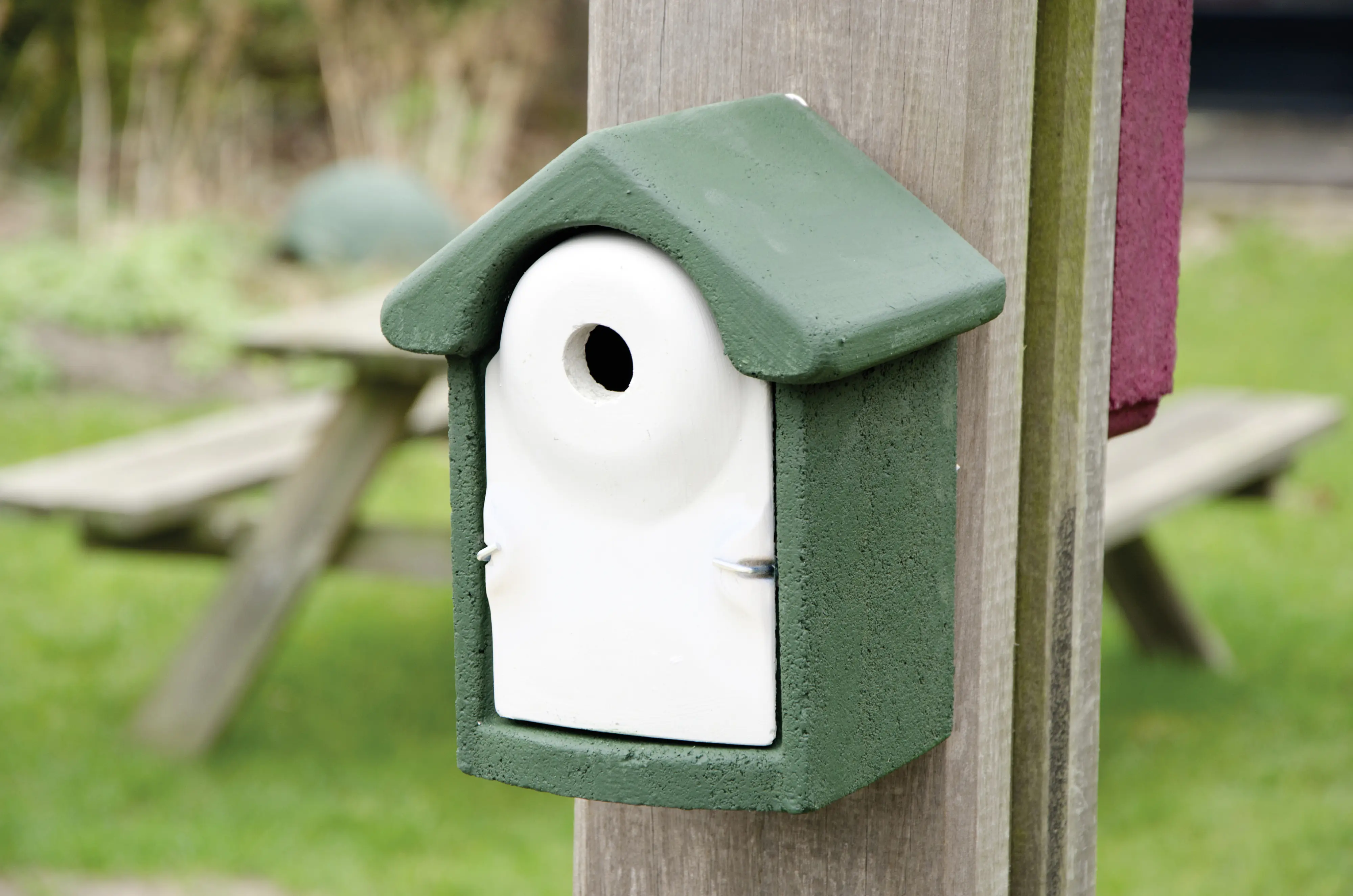 Nistkasten für Jungvögel Holzbeton 18,5 x 16,5 cm grün/weiß