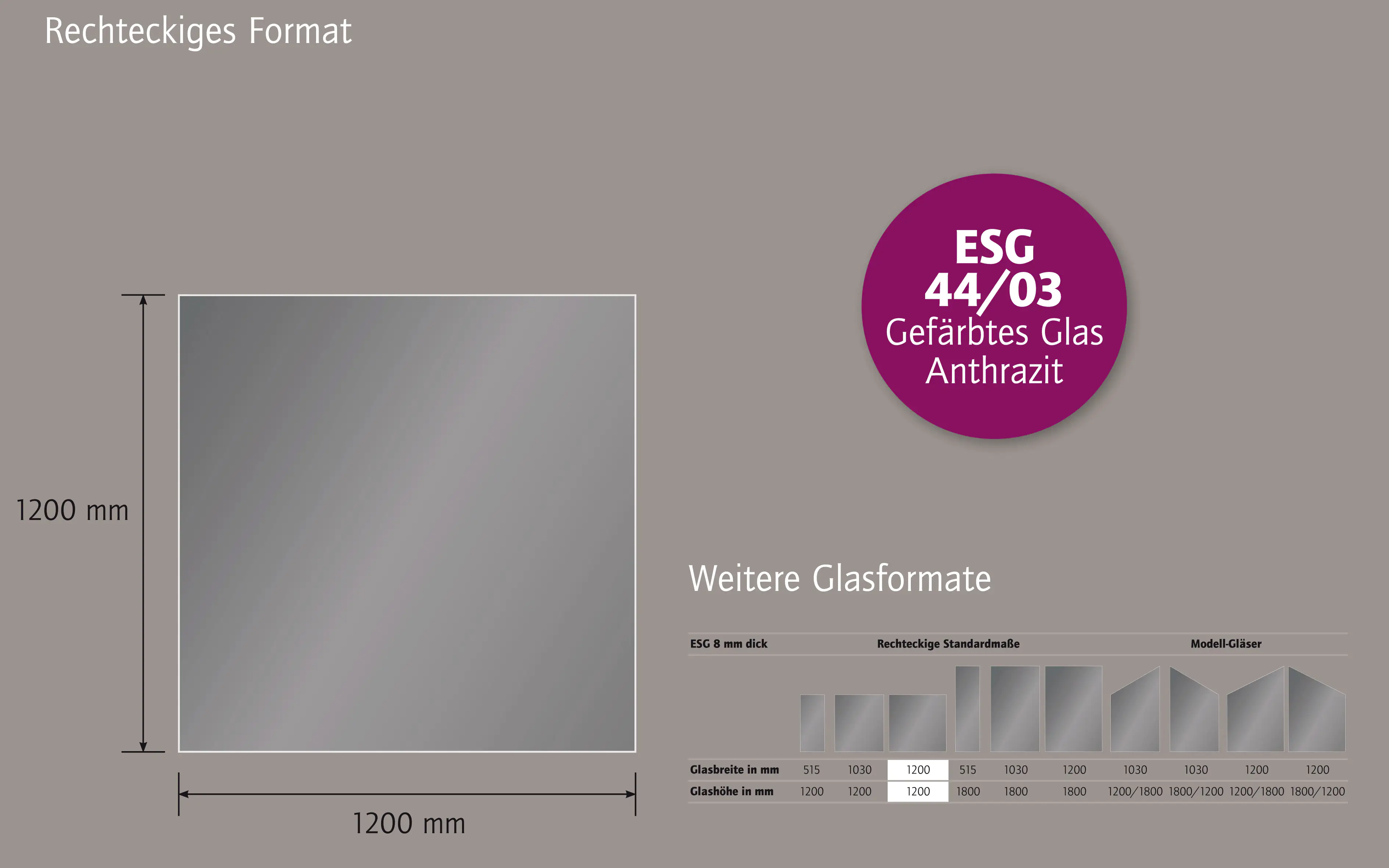 Ambiente Glaszaun Dekor 44/03 120 x 120 cm gehärtetes 8 mm Glas