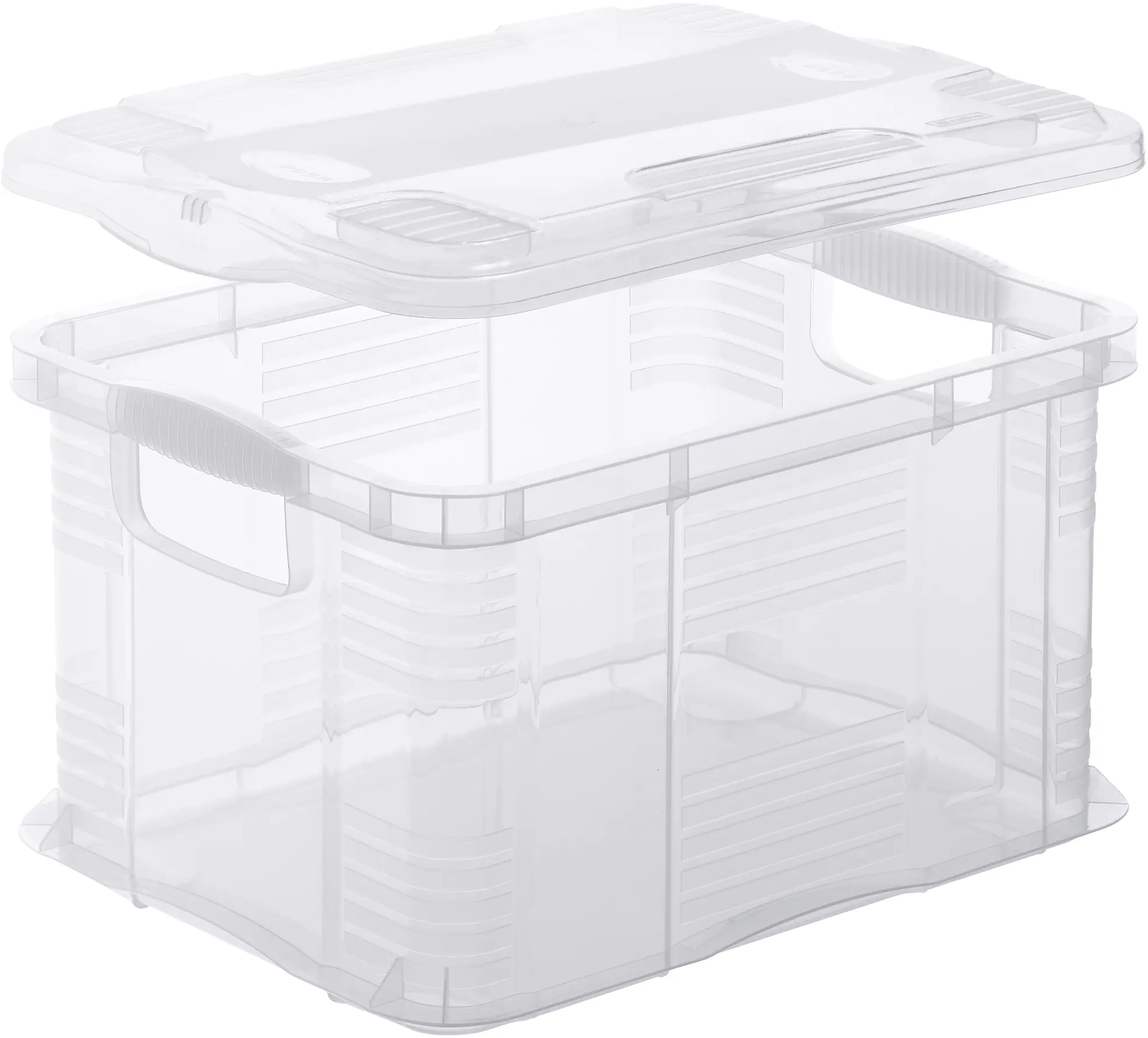 Rotho Aufbewahrungsbox Agilo 39 x 29 cm 17,5 L transparent