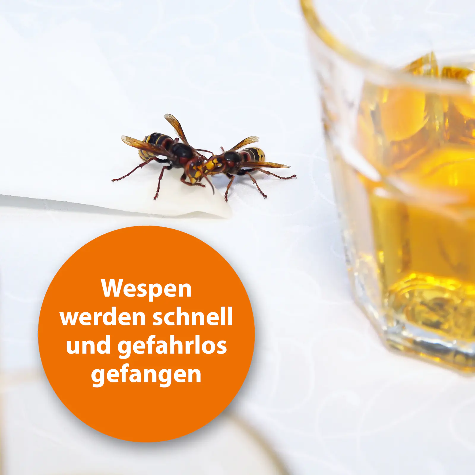 Ardap Wespenfalle mit Lockstoff 1 Stück 