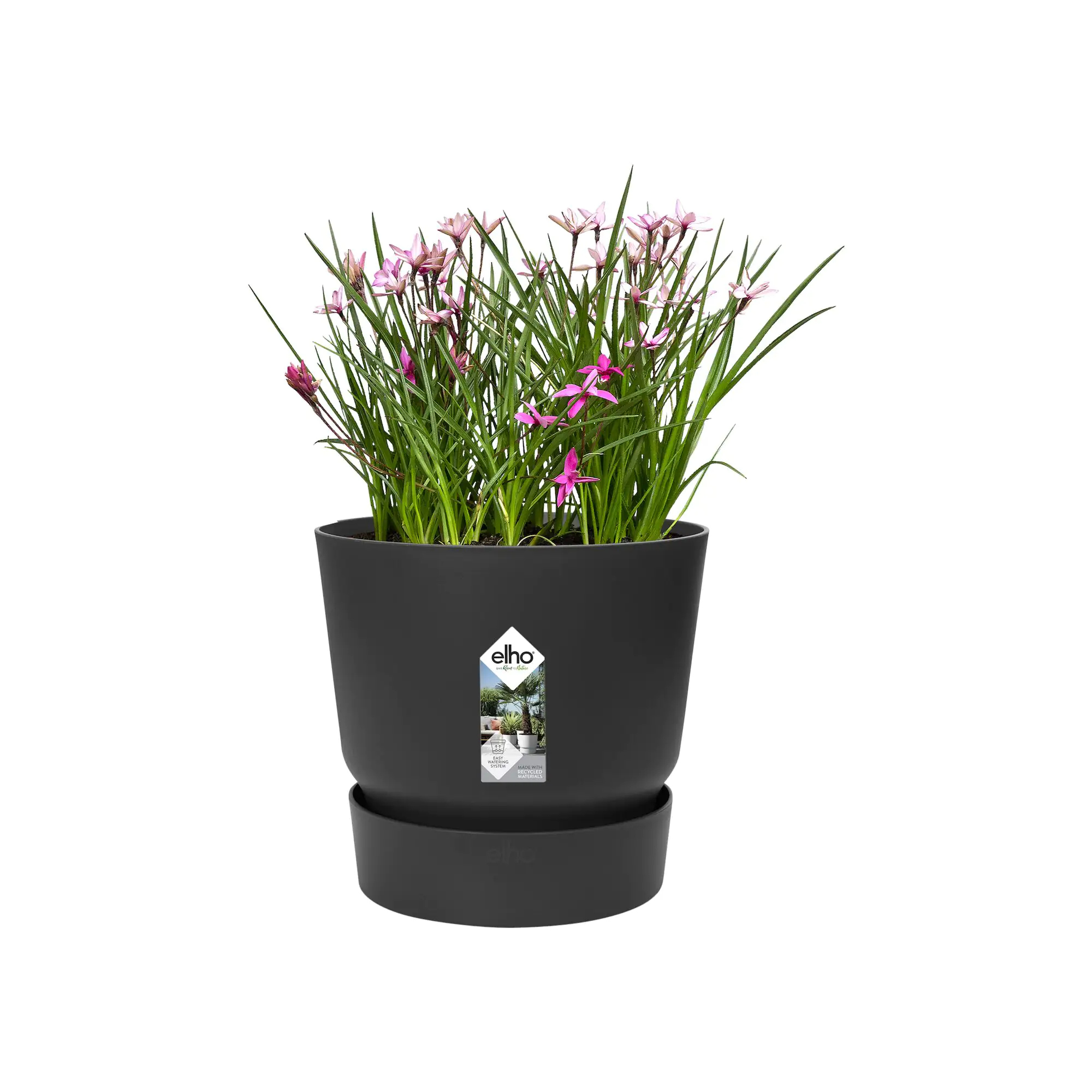 Elho Pflanztopf Greenville Ø 25 x 23 cm living schwarz