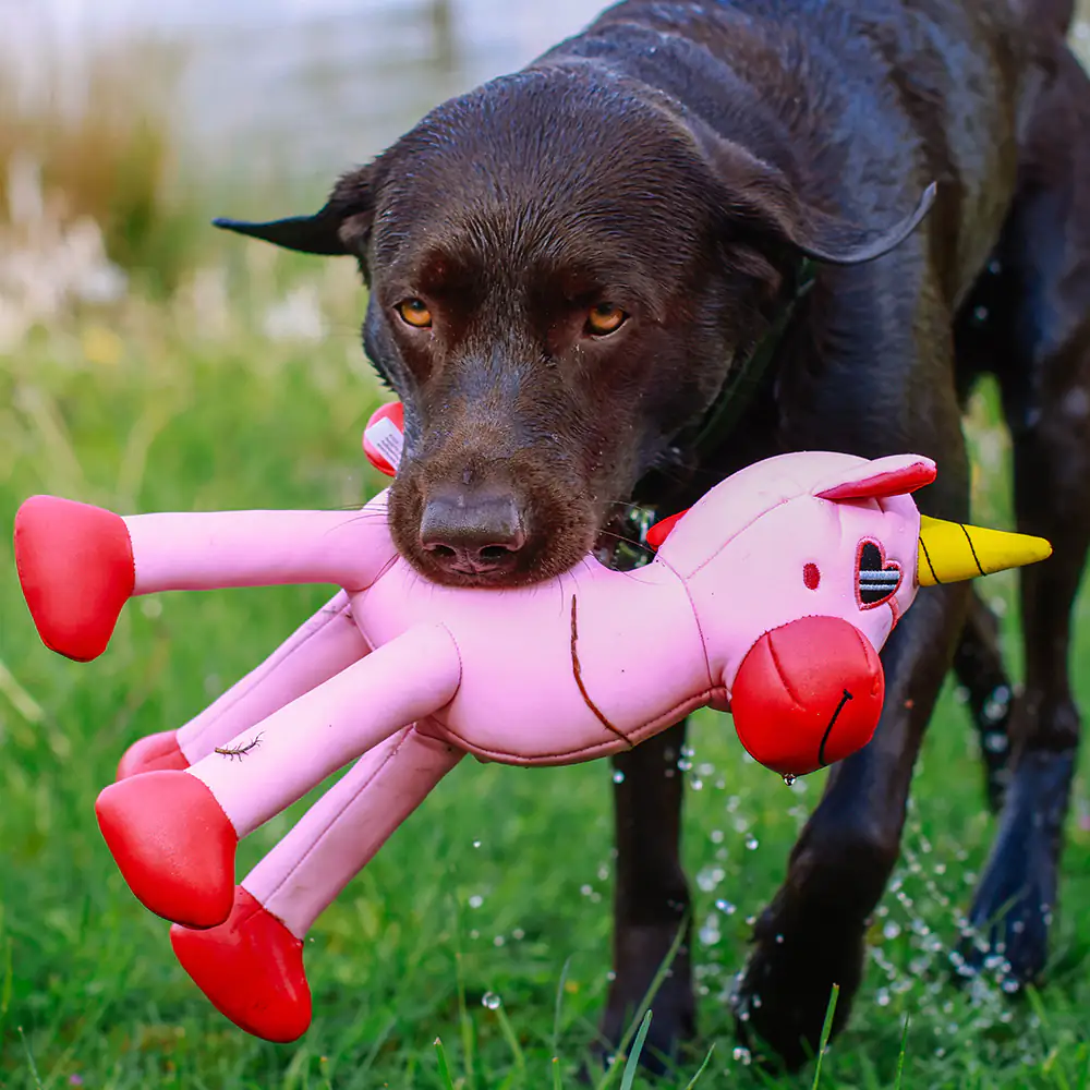 Nobby Wasserspielzeug Hund Einhorn Floating 39,5 cm rosa