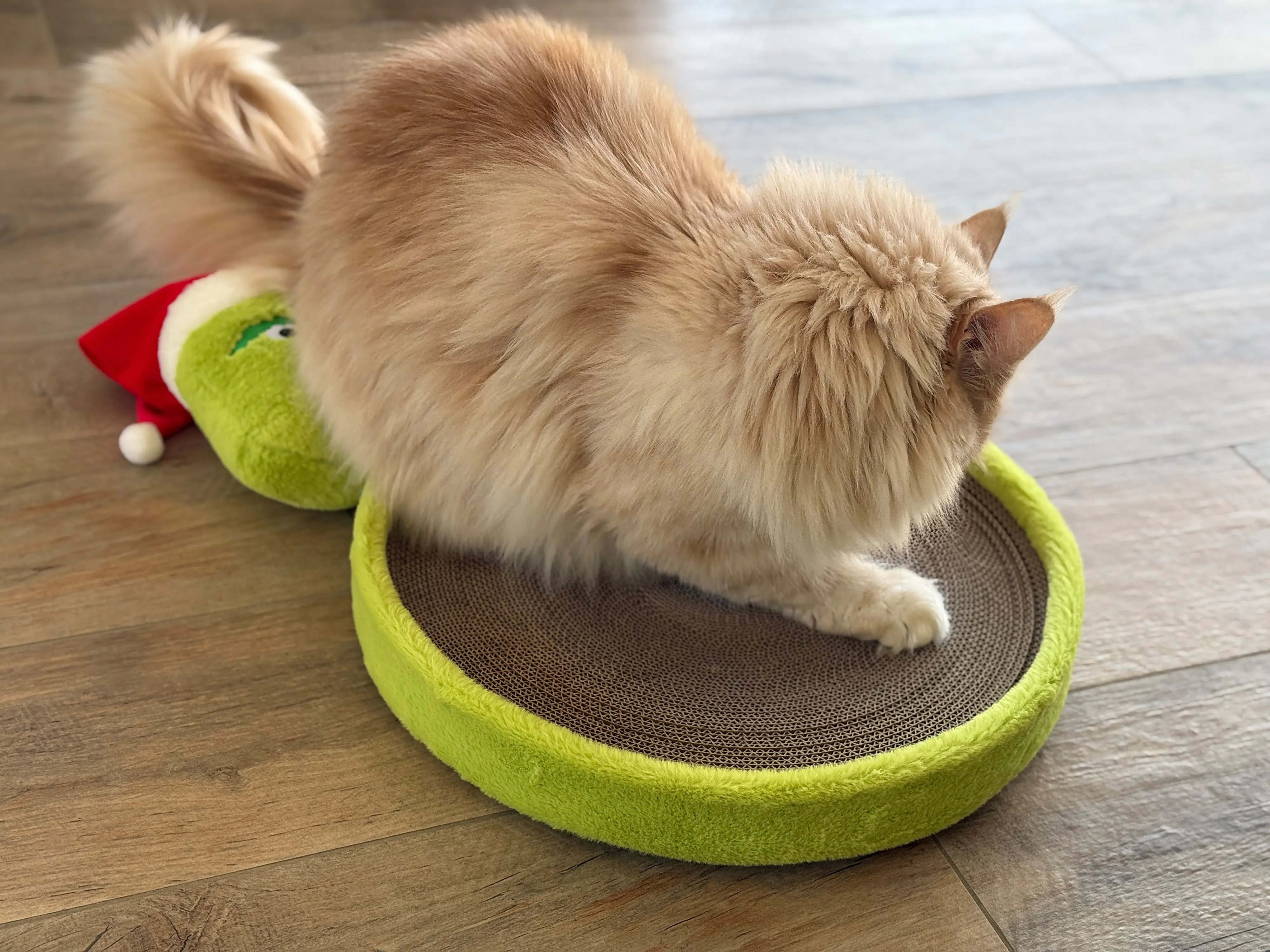 Aumüller Katzenspielzeug Weihnachtsmuffel Kratzpappe 58 cm grün