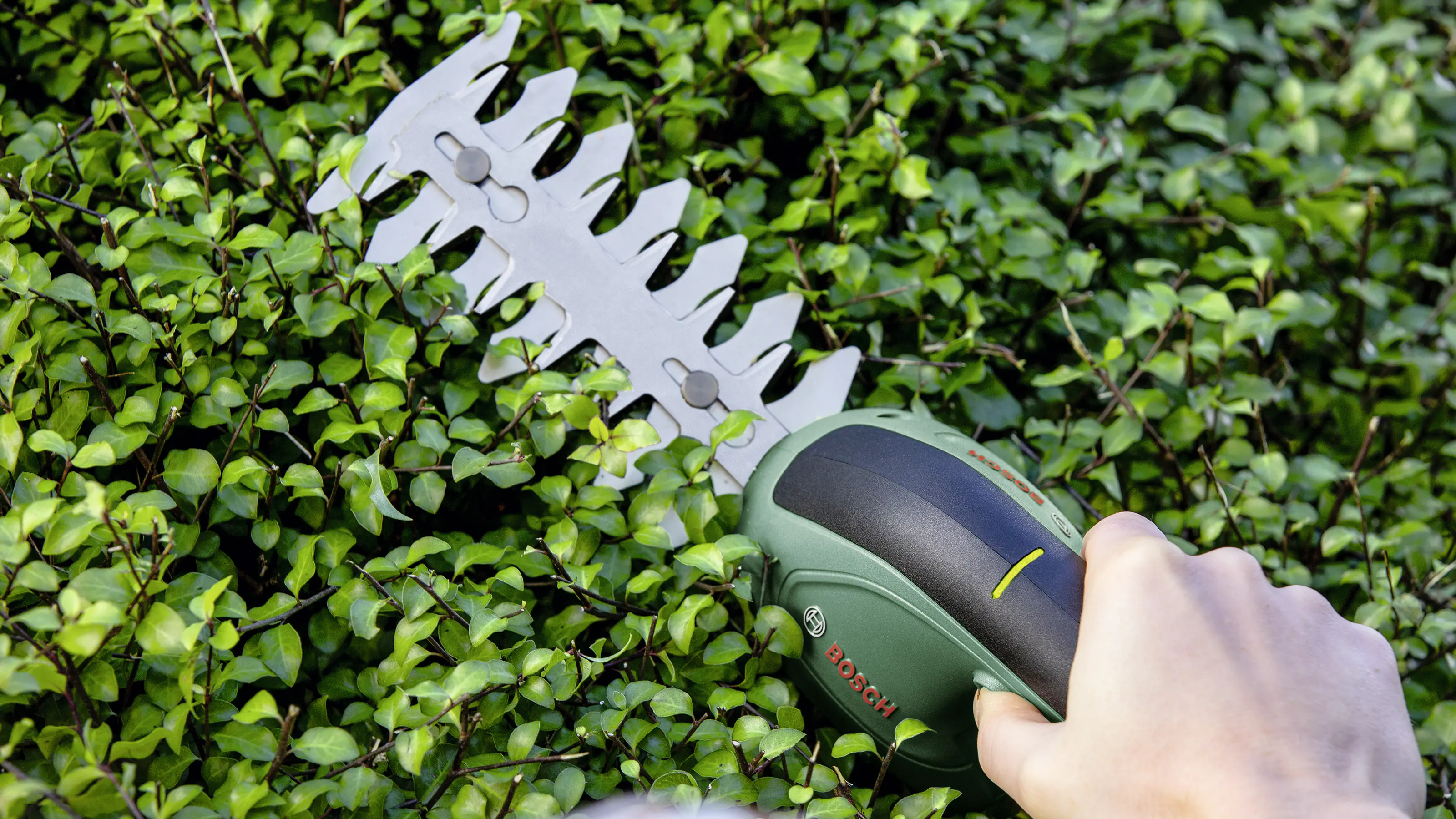 Bosch Akku- Gras-und- Strauchschere EasyShear 3,6 V