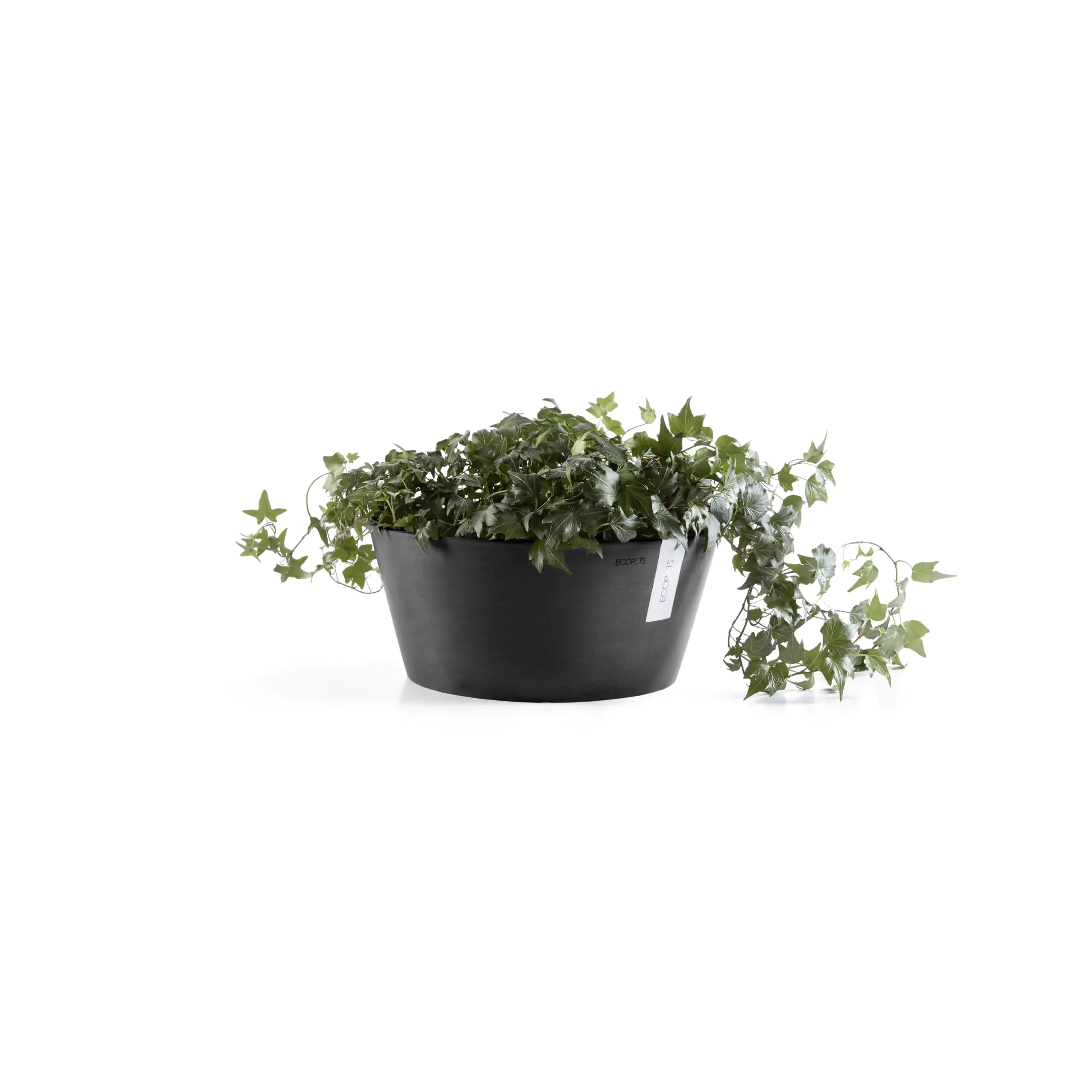 Ecopots Pflanztopf Frankfurt Ø 50 x 25 cm dunkelgrau
