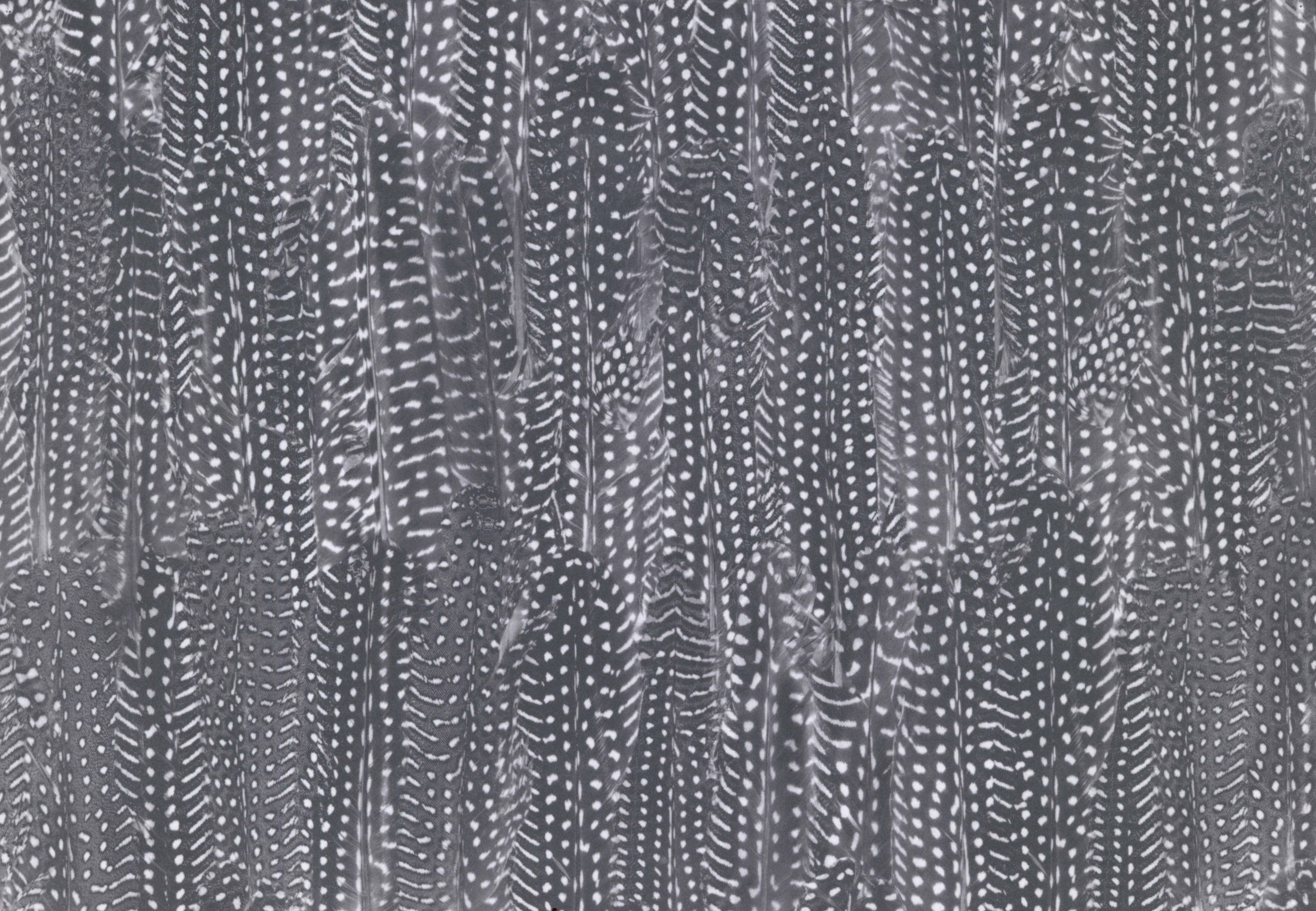 d-c-fix Selbstklebefolie Velvet Tabora 45 cm x 1,2 m
