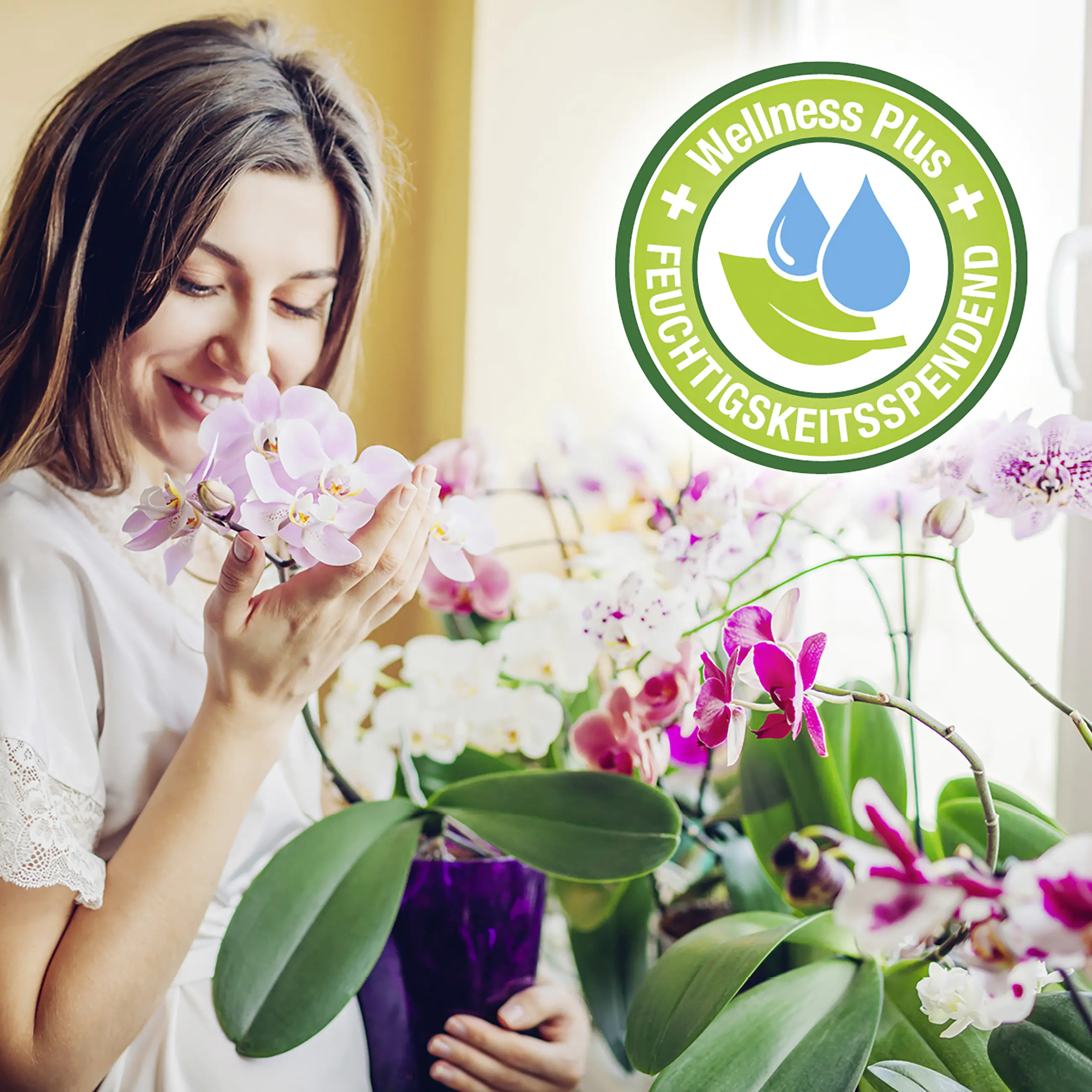 Protect Garden Lizetan Zierpflanzen- & Rosen-Spray AF 500 ml