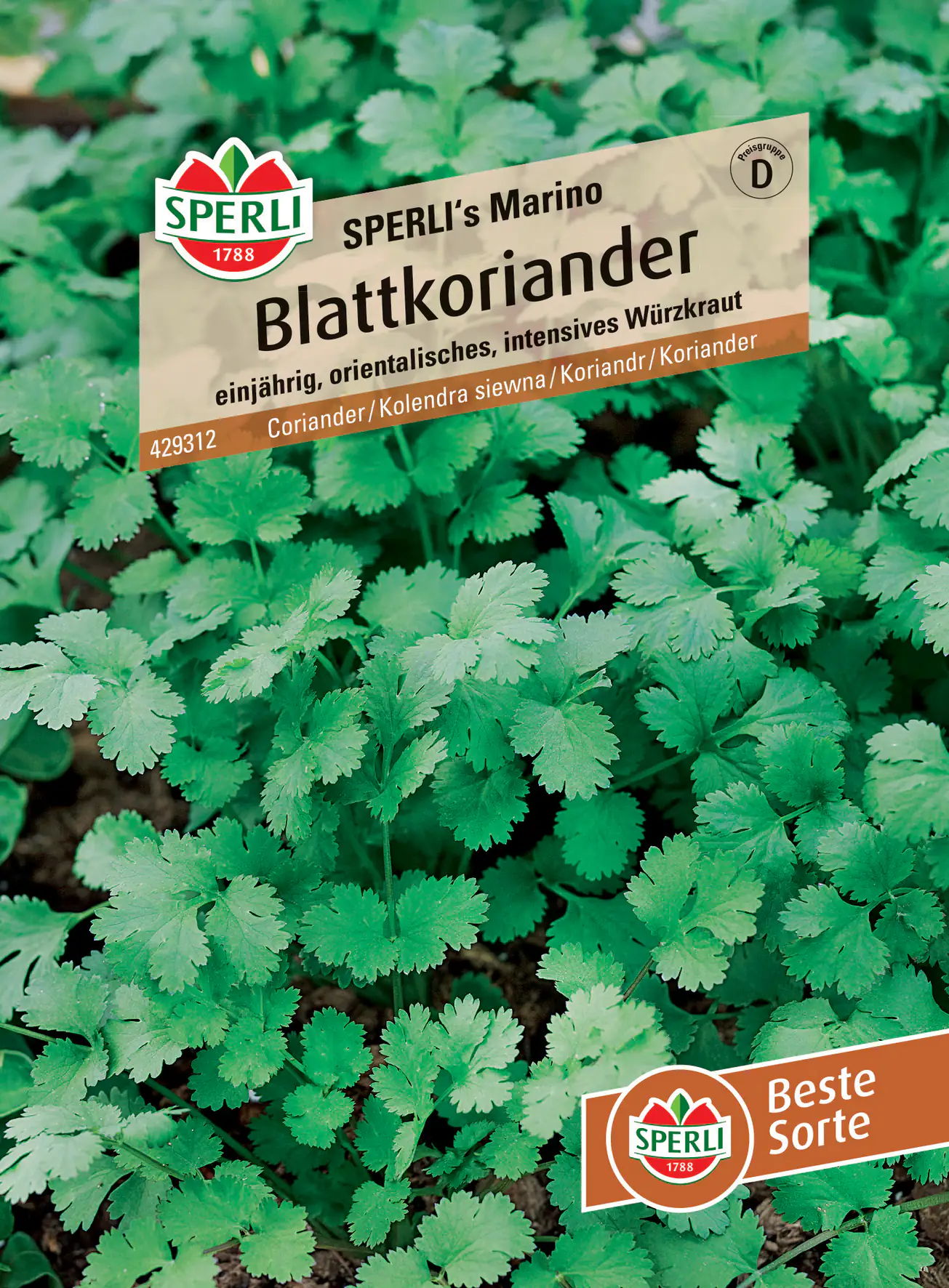Sperli Blattkoriander Sperli 's Marino