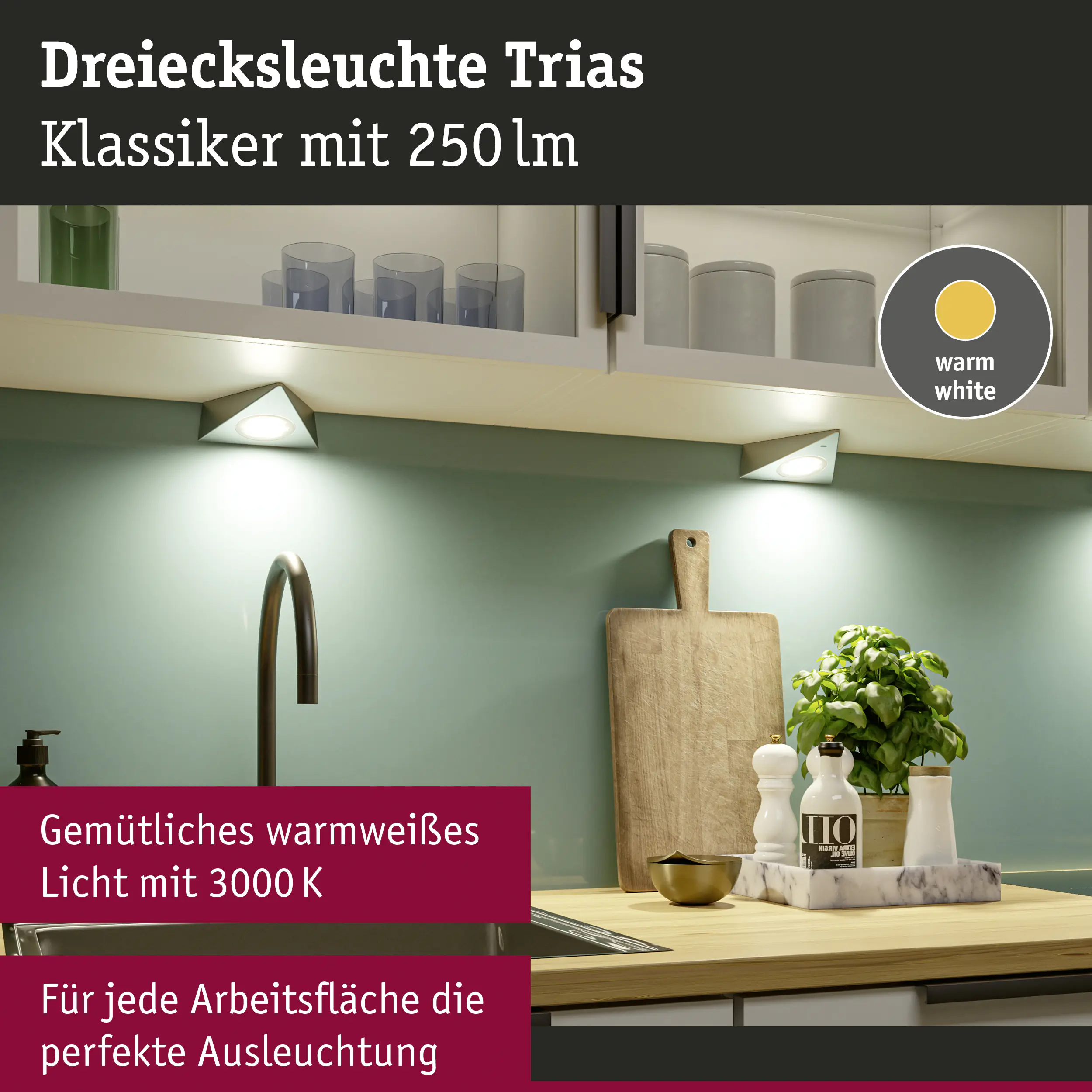 Paulmann LED Unterbauleuchte Trias eisen gebürstet warmweiß 3 er Set