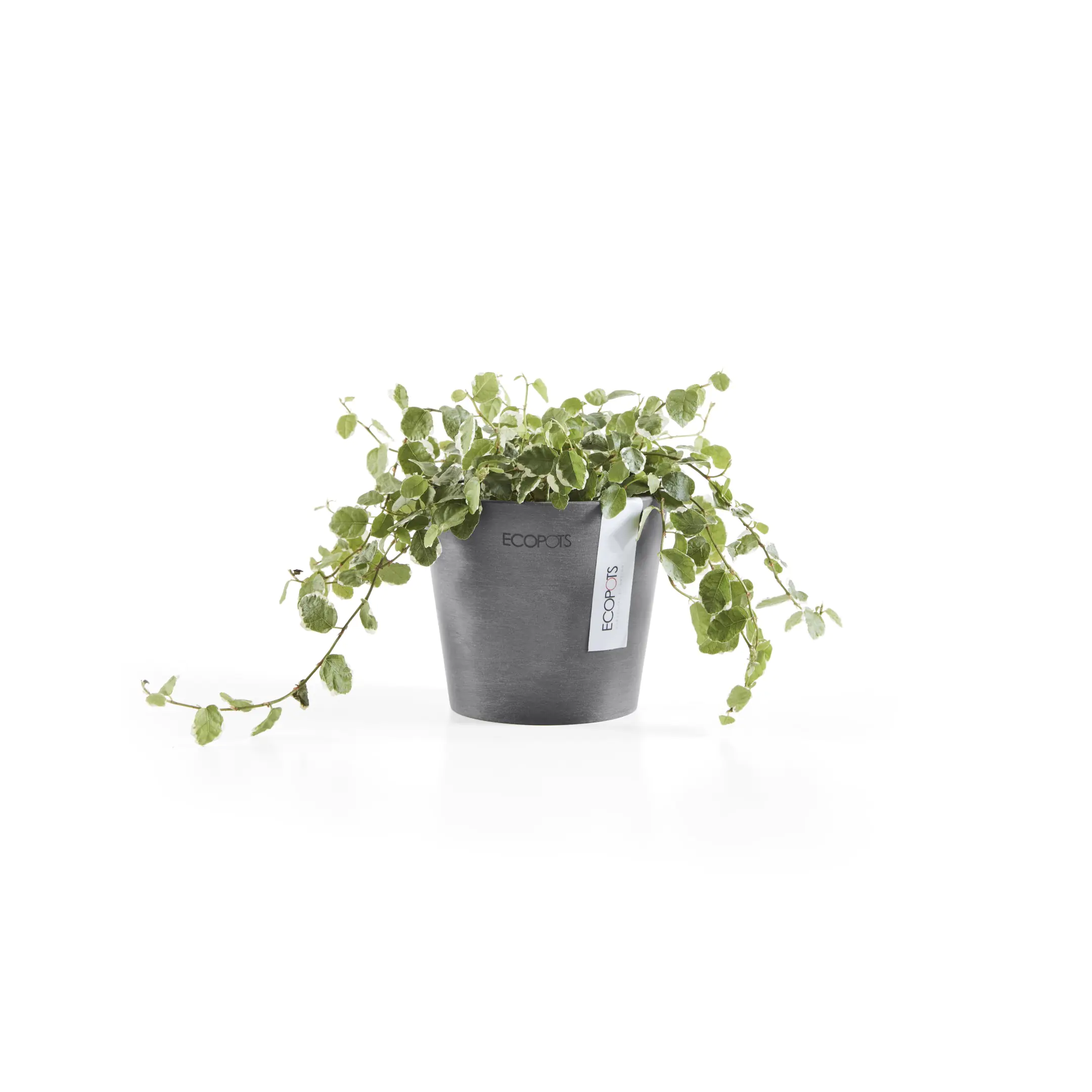 Ecopots Übertopf Amsterdam Kunststoff grau Ø 10,5 x 9 cm 