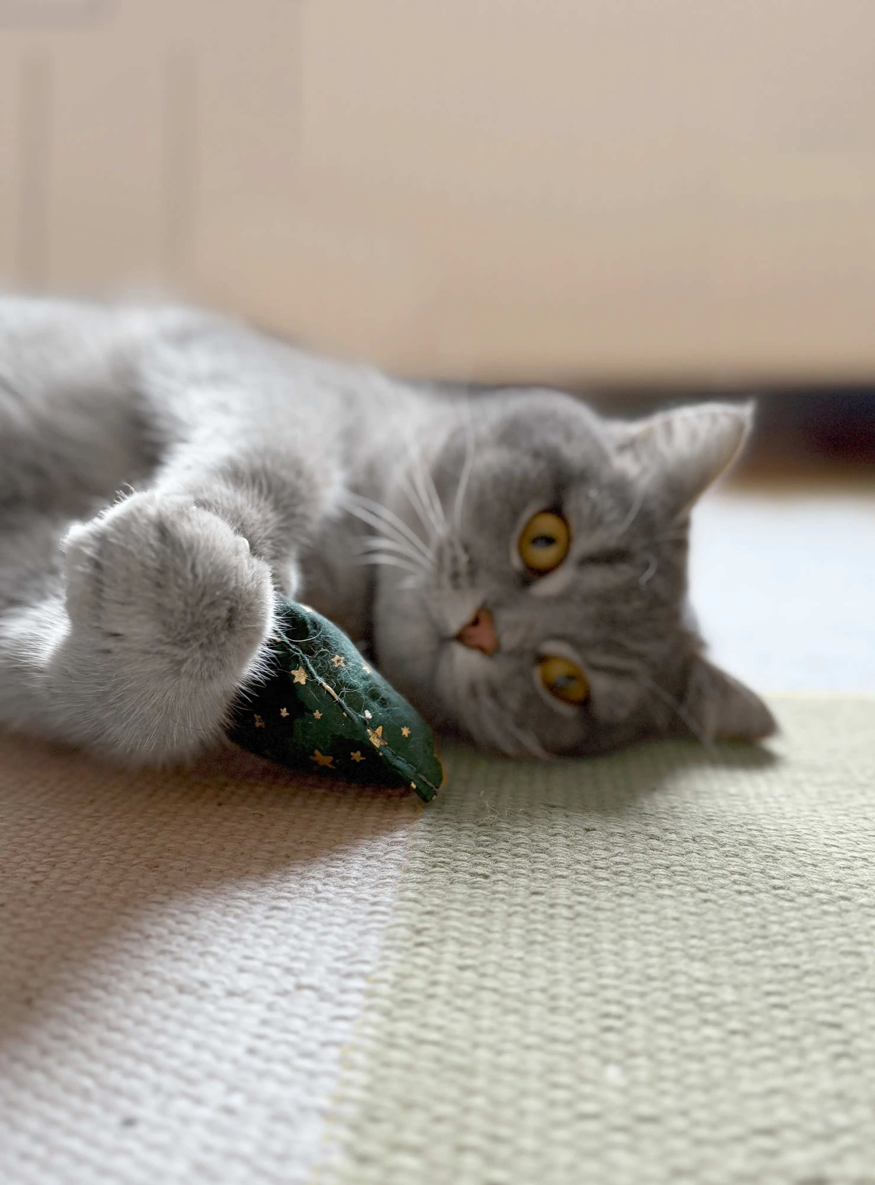 Aumüller Katzenspielzeug Weihnachten Kissen 10 cm grün gold - 2 Stk.