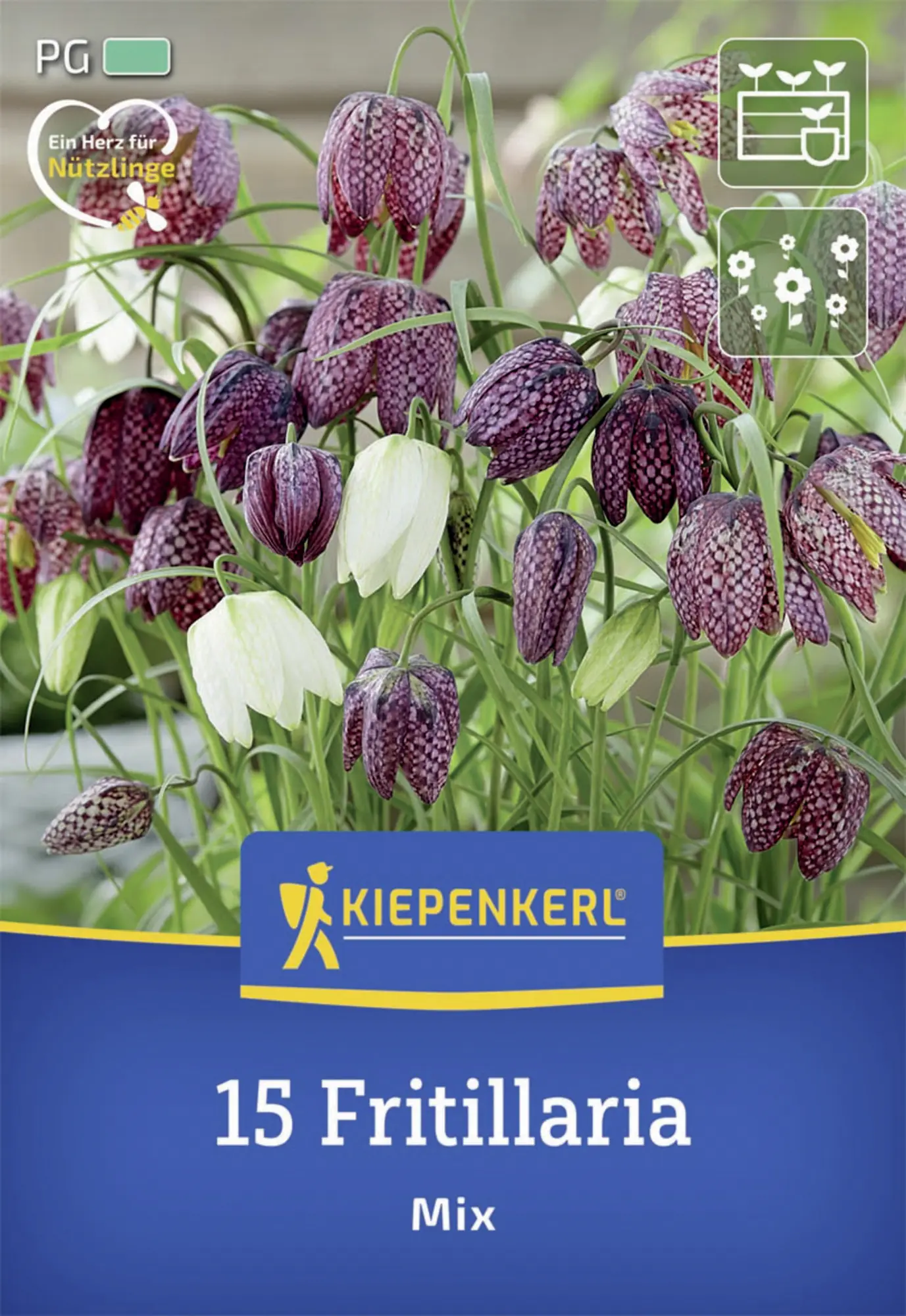 Kiepenkerl Herbstblumenzwiebel Schachbrettblumen Mischung 15 Stück