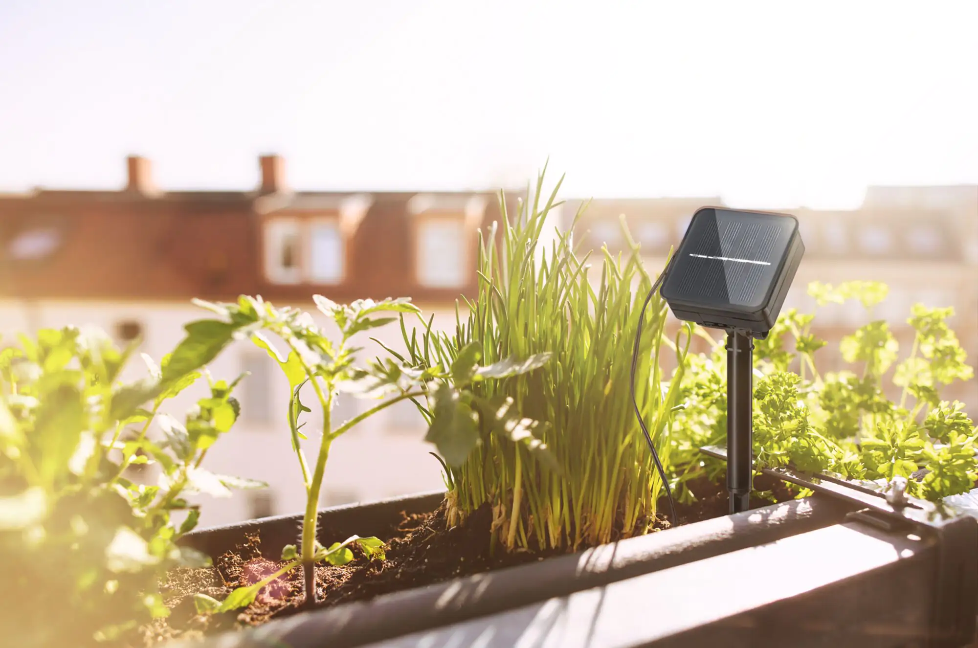 Paulmann LED-Stripe Solar 3 m Dämmerungssensor Akku schwarz kürzbar RGB