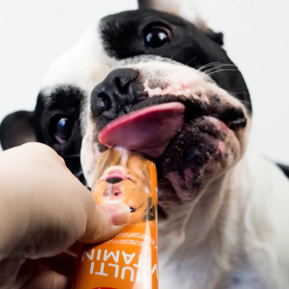 Nobby Multi-Vitamin für Hunde 100 g
