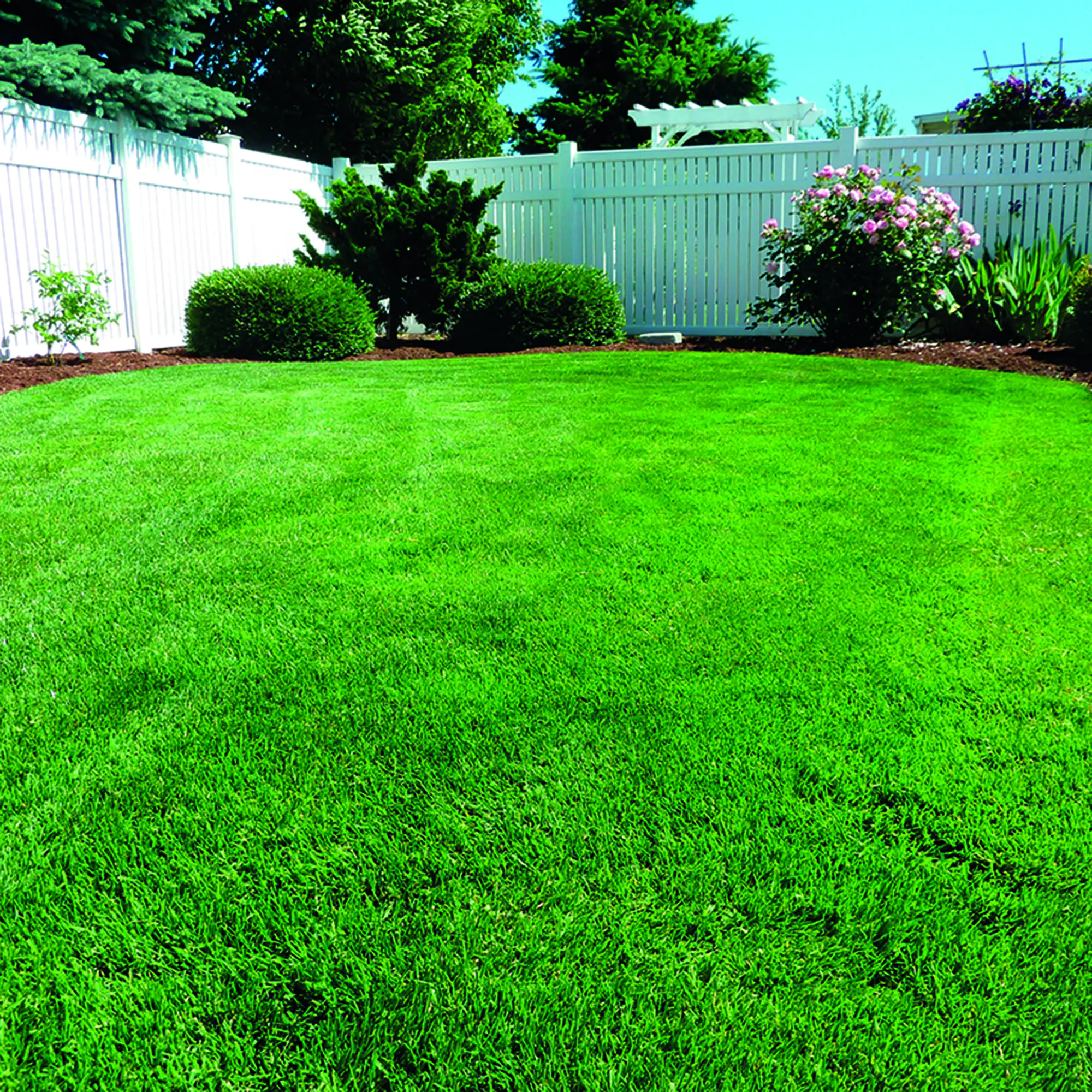 Westland Smart Green Neueinsaat für 100 m² 2,5 kg