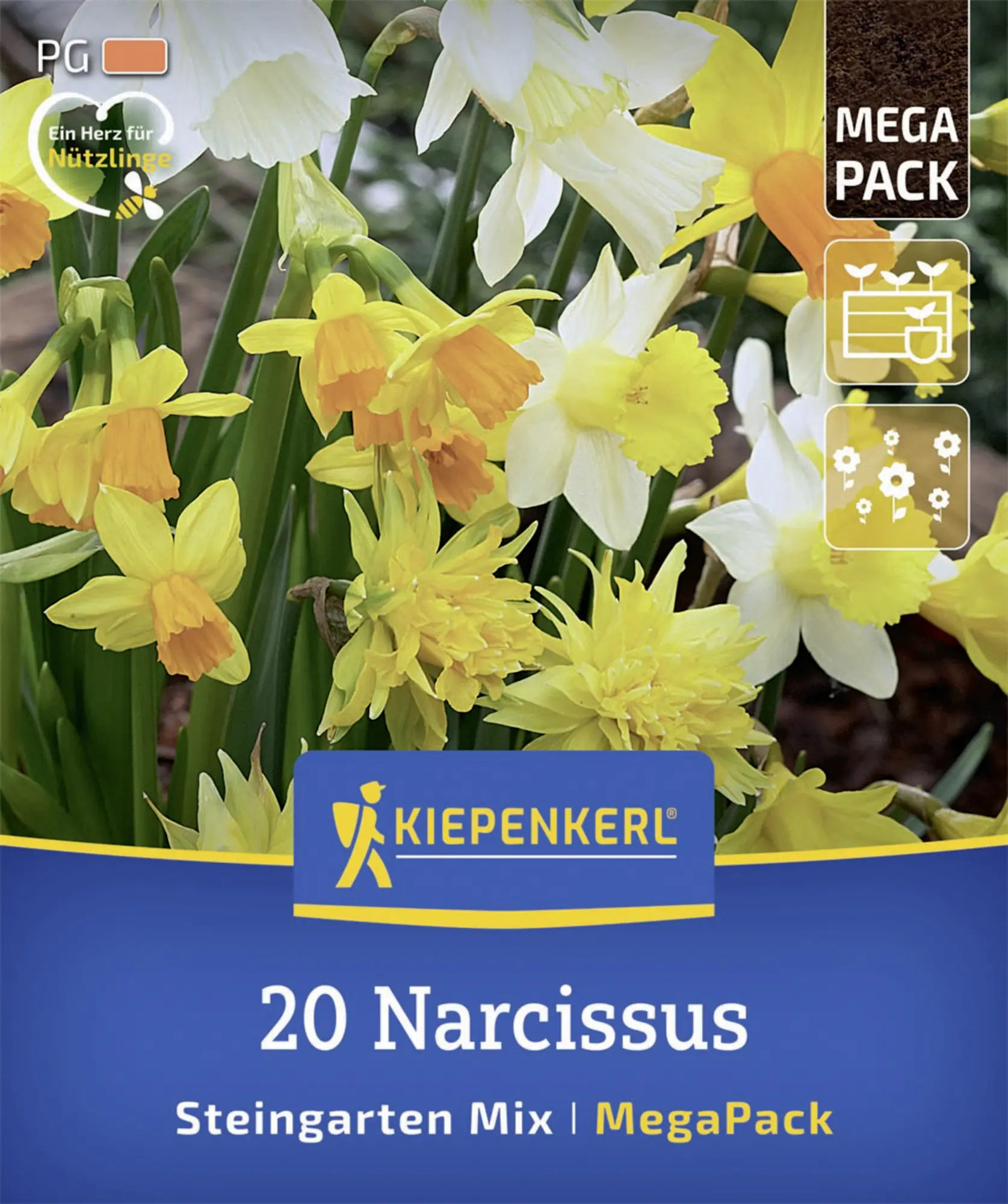 Kiepenkerl Herbstblumenzwiebelmischung Mega-Pack Steingarten-Narzissen 20 Stück