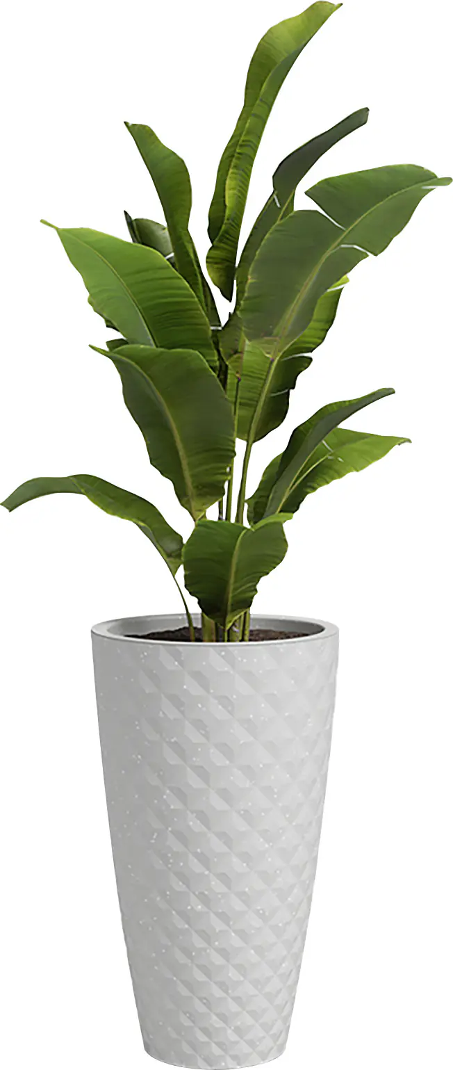 Artevasi Übertopf Havana Tropical Kunststoff grau matt Ø 40 x 70 cm