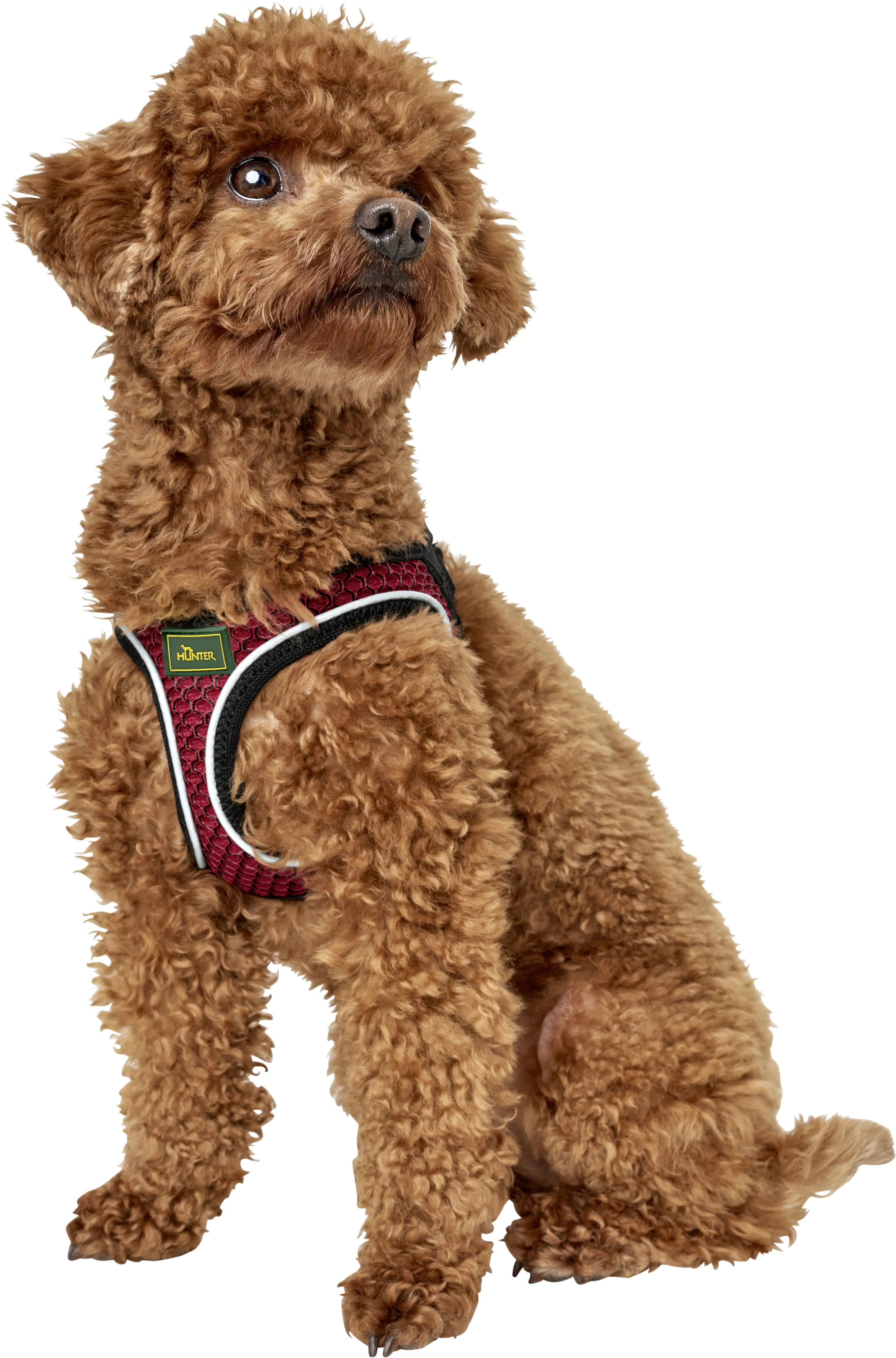 Hunter Hundegeschirr Hilo Comfort XS rot