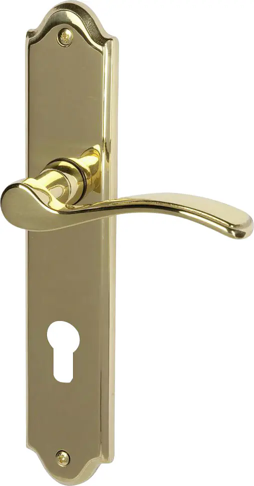 Südmetall Türgriff-Garnitur Langschild Lori PZ Messing poliert gold 226 x 45 mm
