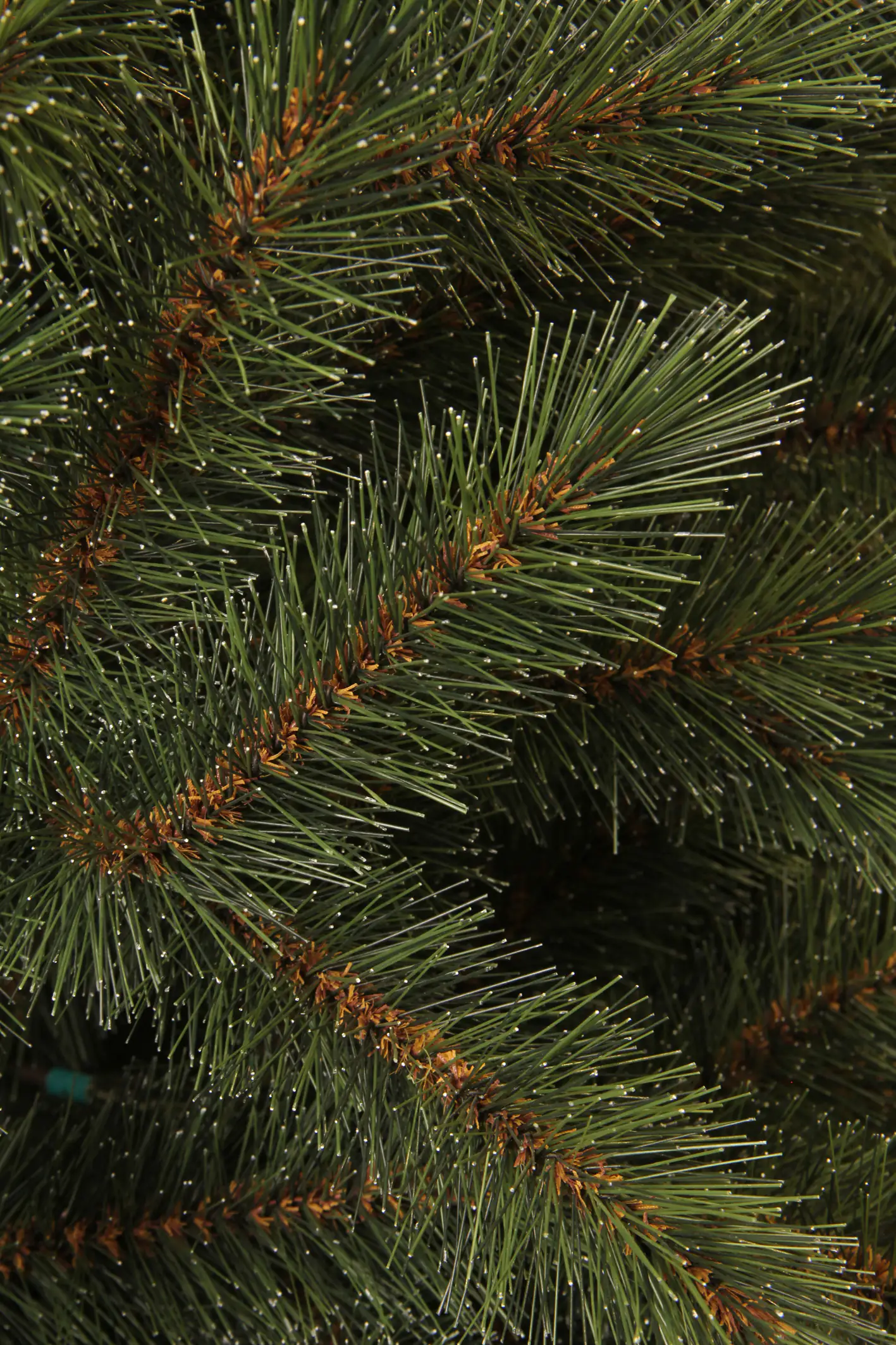 Black Box Trees Weihnachtsbaum Toronto grün 155 cm