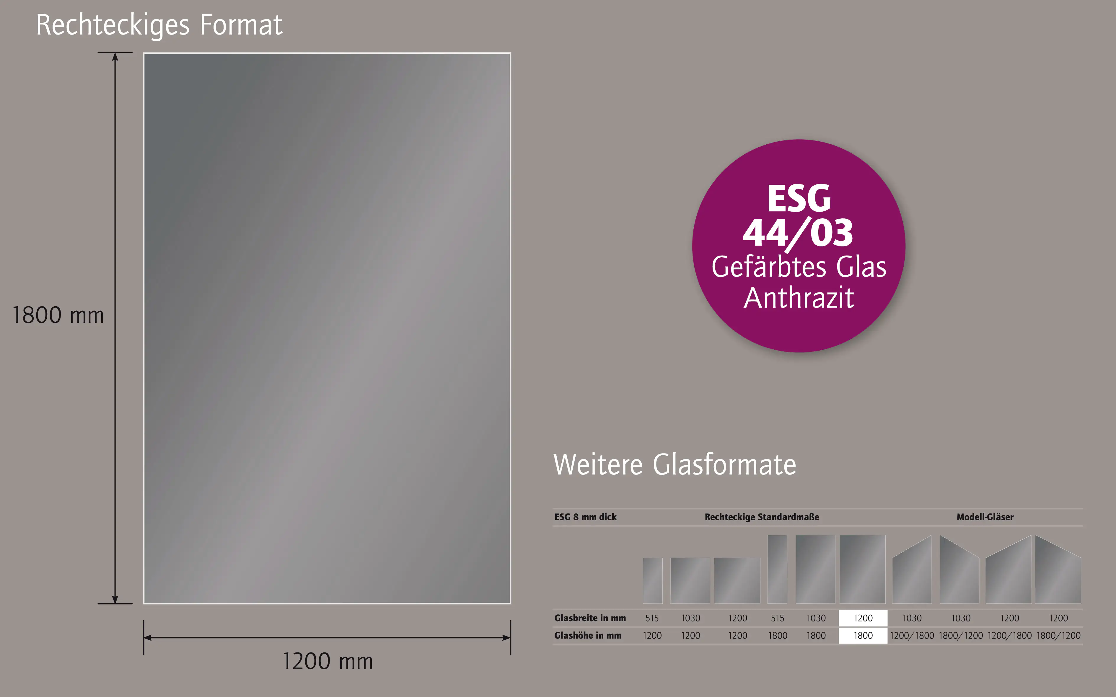 Ambiente Glaszaun Dekor 44/03 120 x 180 cm gehärtetes 8 mm Glas