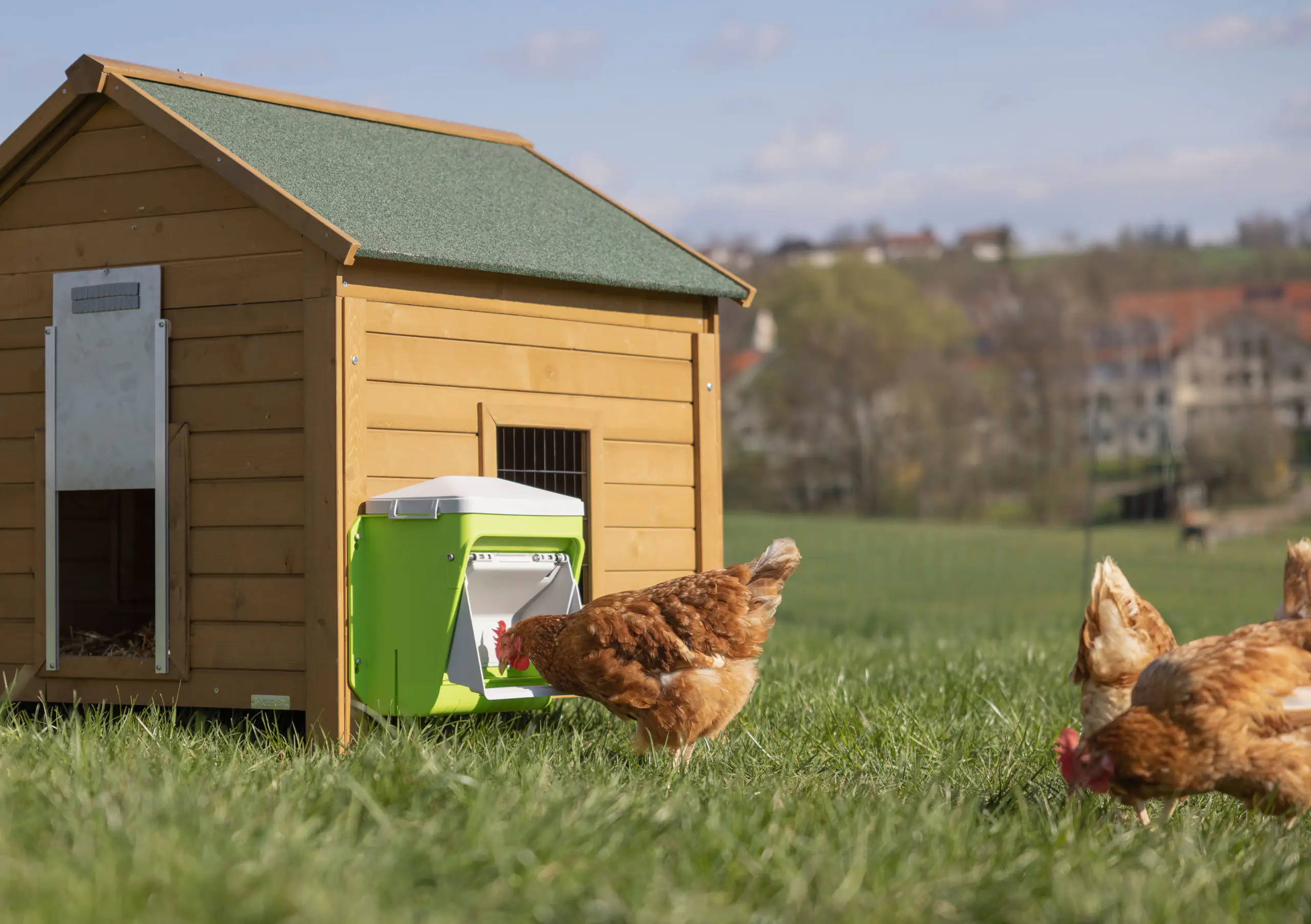 Kerbl SmartCoop Futterautomat mit Schutzklappe 7,5 kg