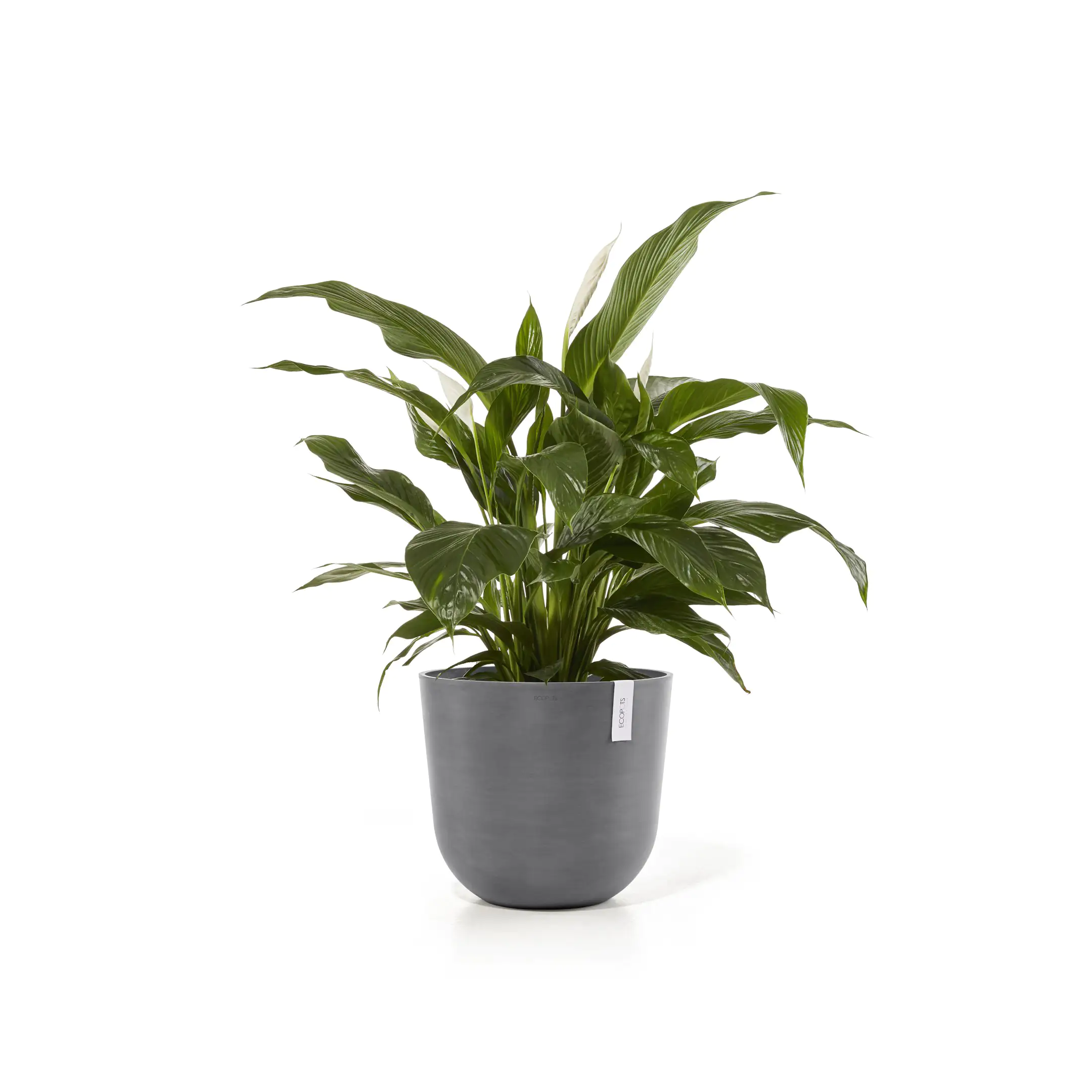 Ecopots Pflanztopf Oslo Ø 45 x 39,2 cm grau