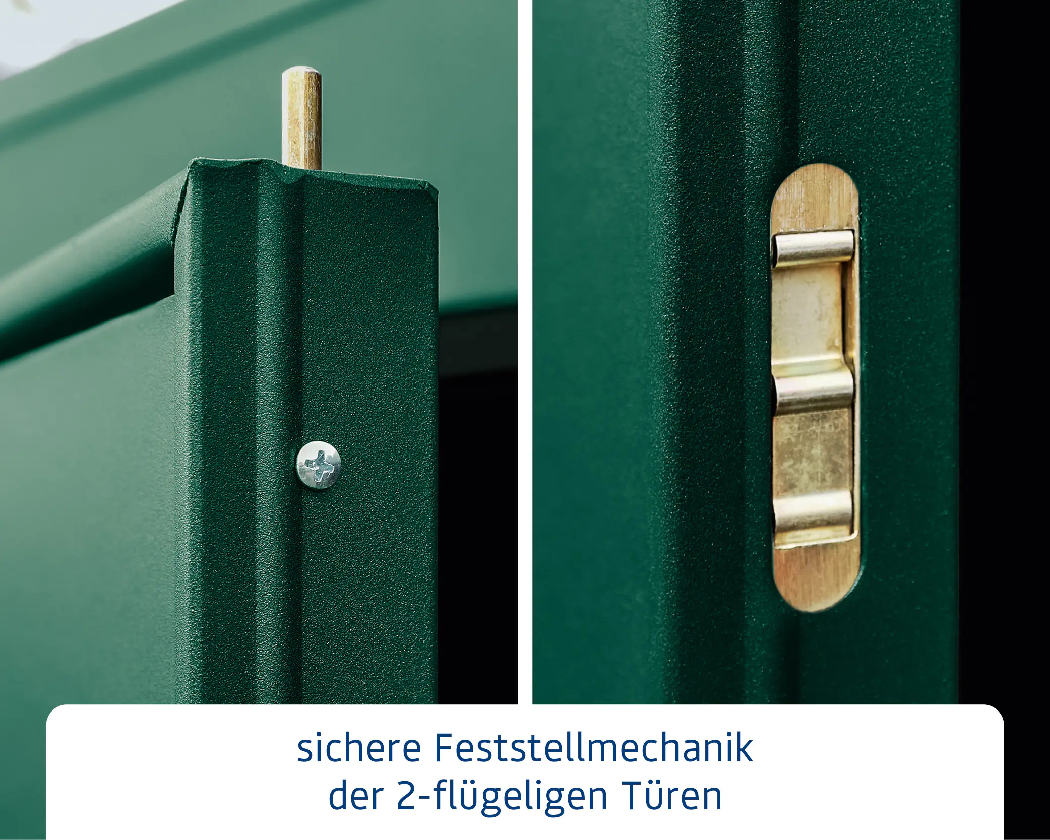 EcoStar Gerätehaus Elegant-P Typ 1 moosgrün 247,9 x 153 x 228,6 cm