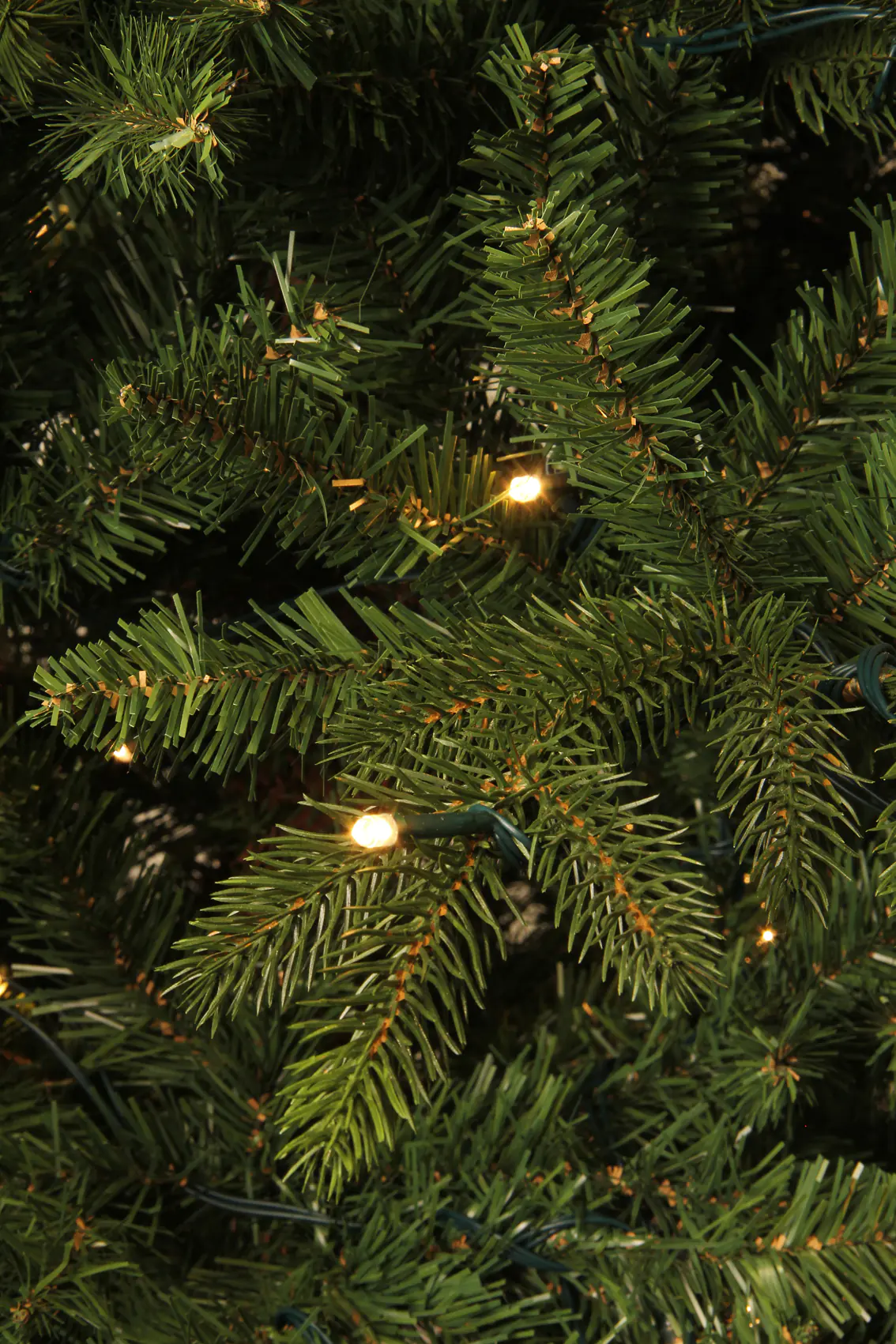 Black Box Trees Weihnachtsbaum Macallan 260 cm grün mit LED
