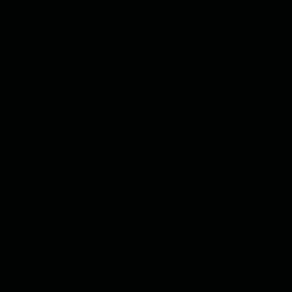 Glorex Fotokarton 300 g/m² schwarz