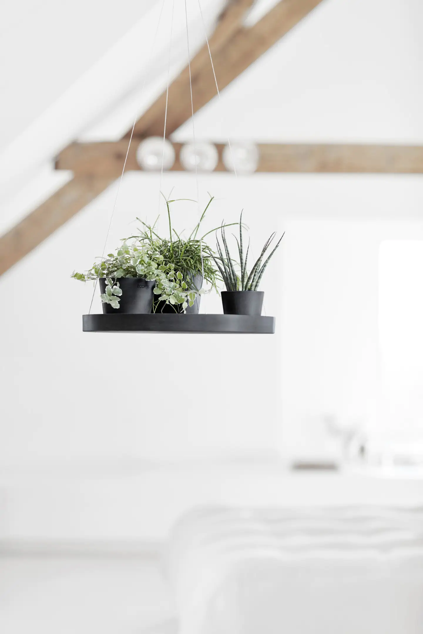 Ecopots Untersetzer hängend dunkelgrau Ø 36 cm