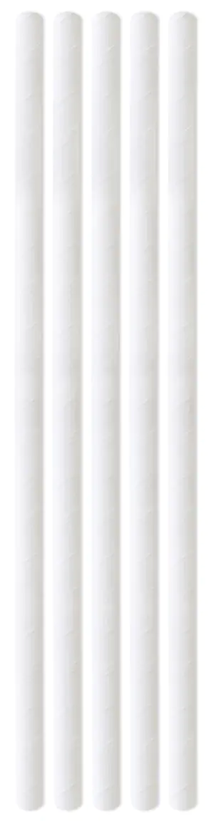 Braun & Company Trinkhalme 19 cm ByNature 30 Stück