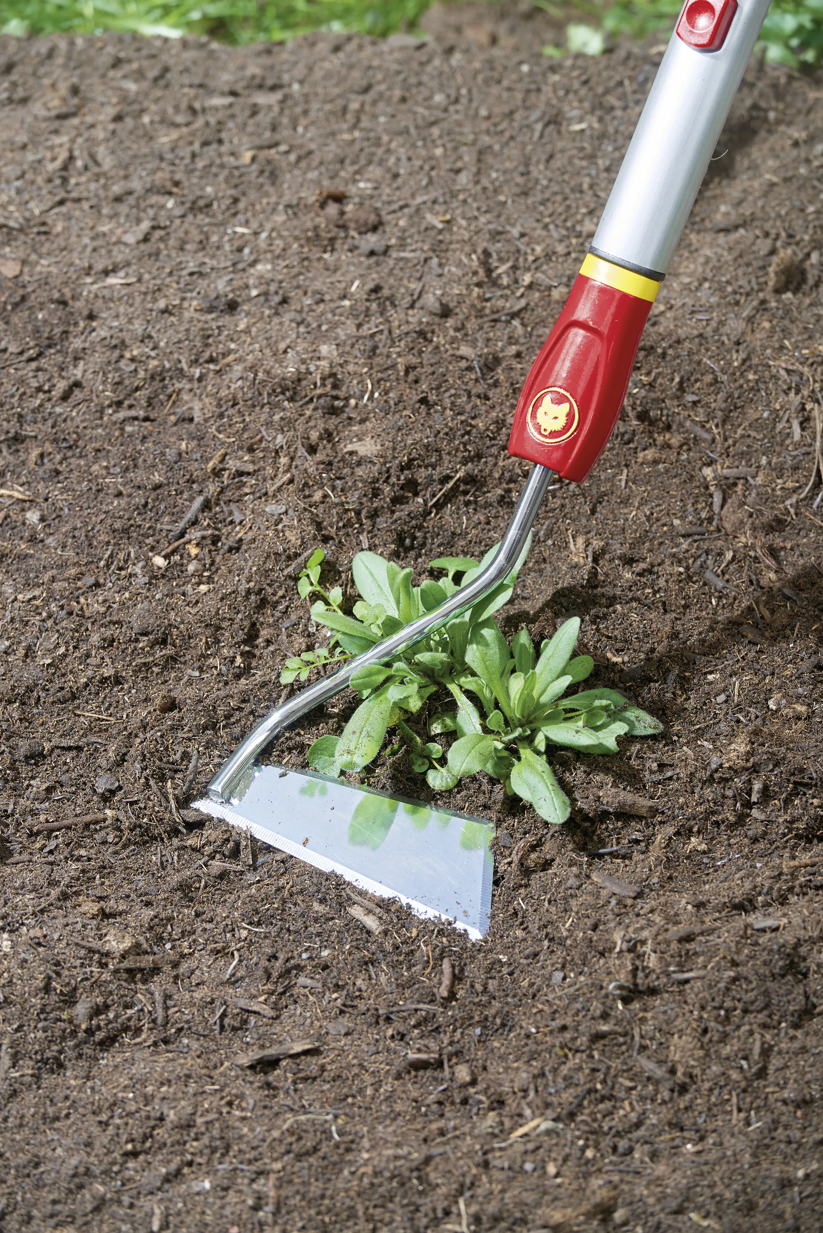 Wolf Garten Jätgerät Multi-Star SH-M 15 cm Arbeitsbreite