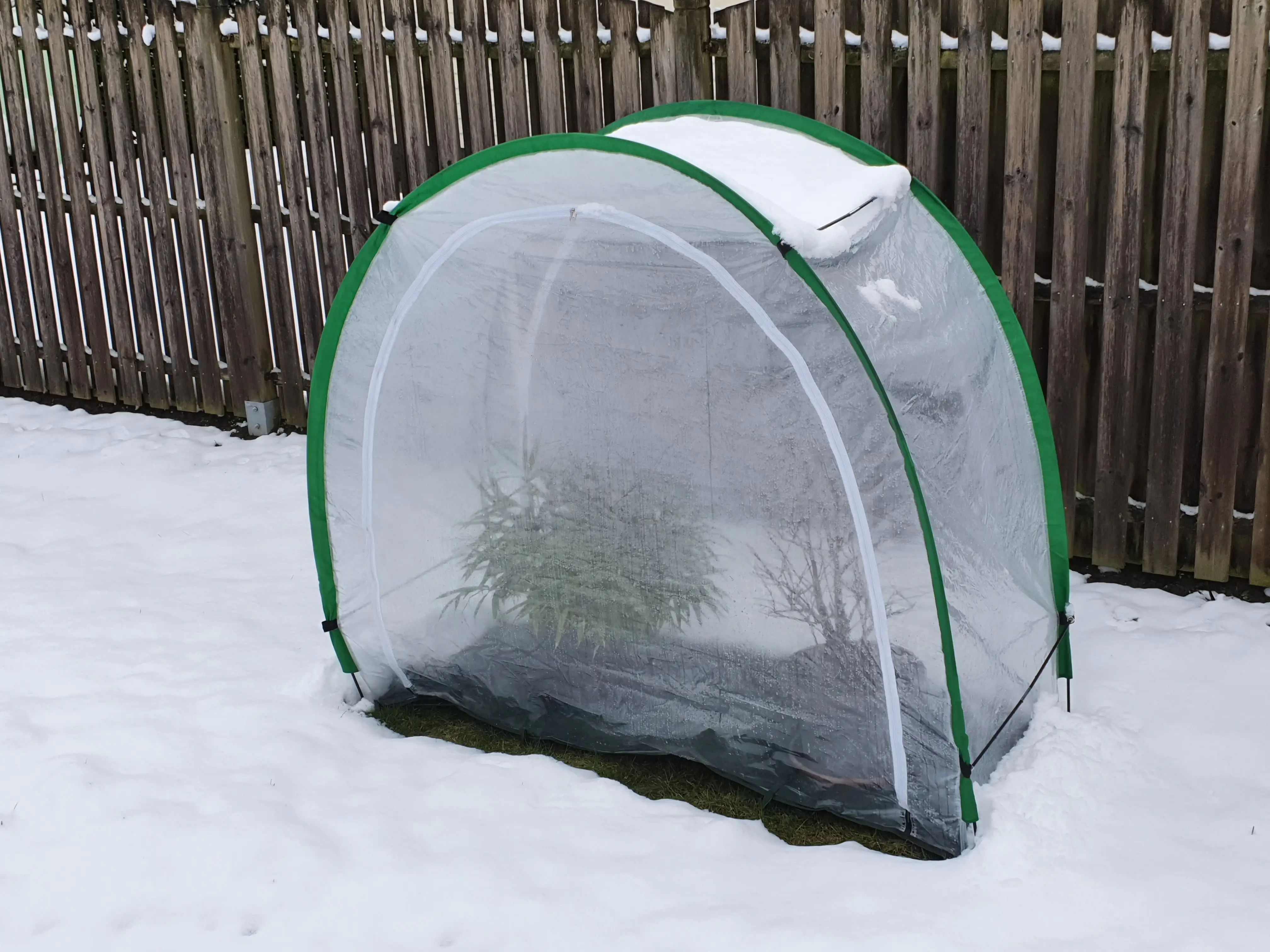 Bio Green Überwinterungszelt Pflanzen Arctic 186 x 84 cm