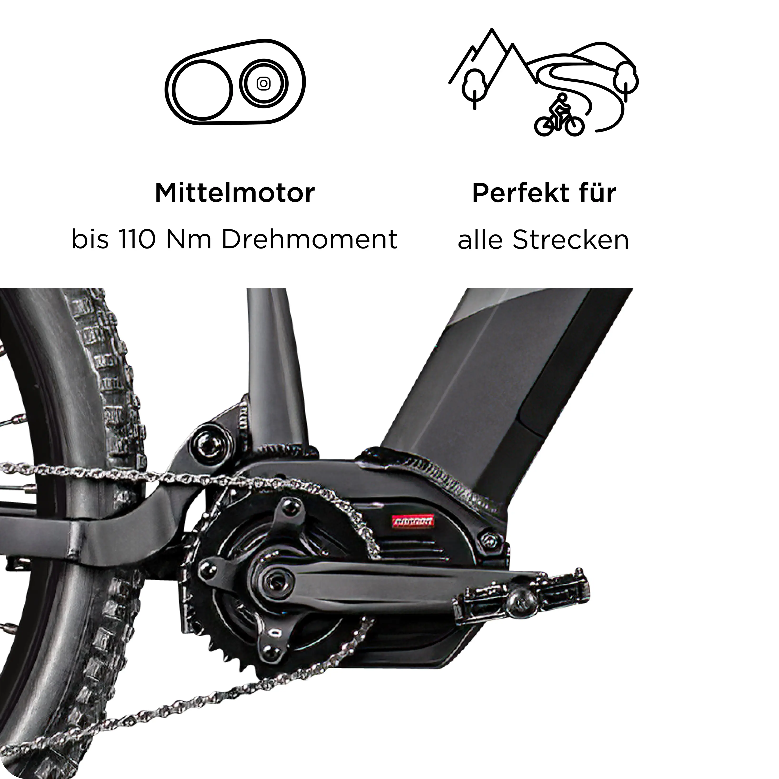Zündapp E-Bike MTB X1000 29 Zoll 10-Gang 733 Wh schwarz	