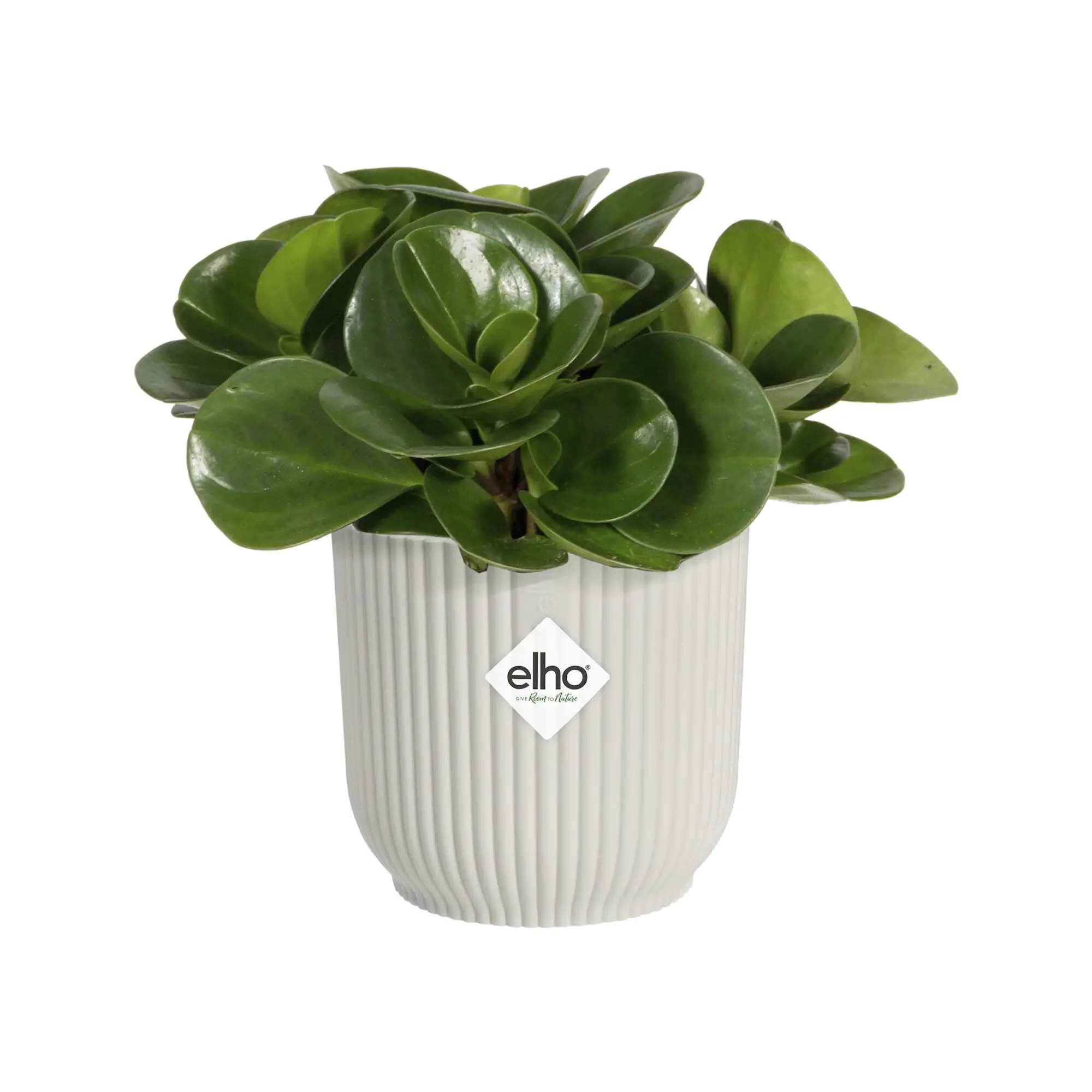 Elho Blumentopf Vibes Fold Ø 11 x 11 cm seidenweiß