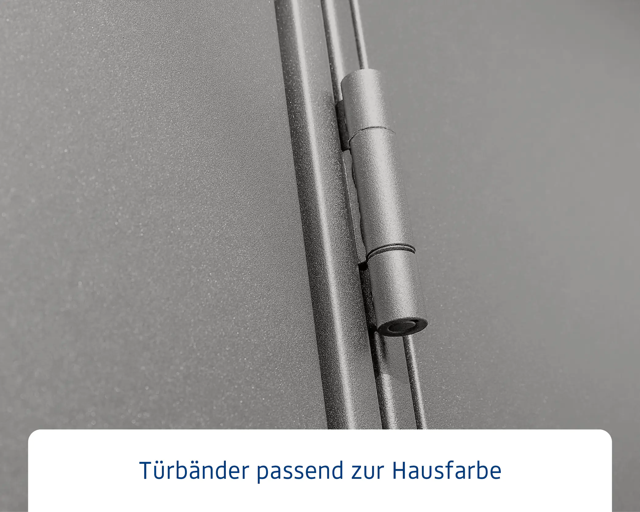 EcoStar Gerätehaus Elegant-S Typ 1 graualuminium 1 flg 258,8 x 121,3 cm