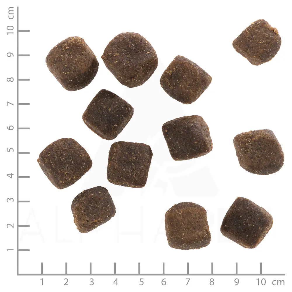 Wolfsblut Hundeleckerli Soft Squashies 300 g Wild