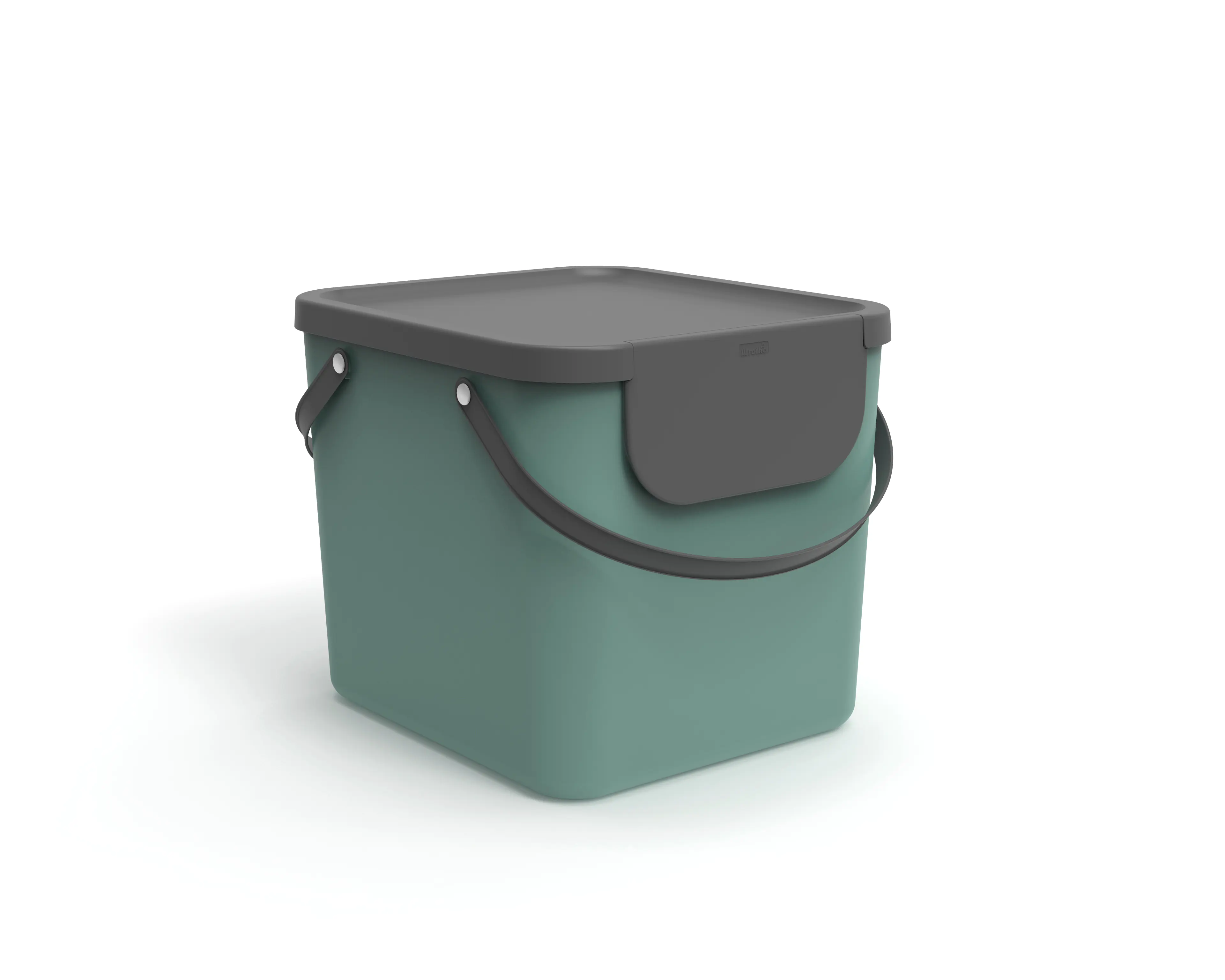 Rotho Mülltrennungssystem Albula 40 L misteltoe green Recyclingbehälter